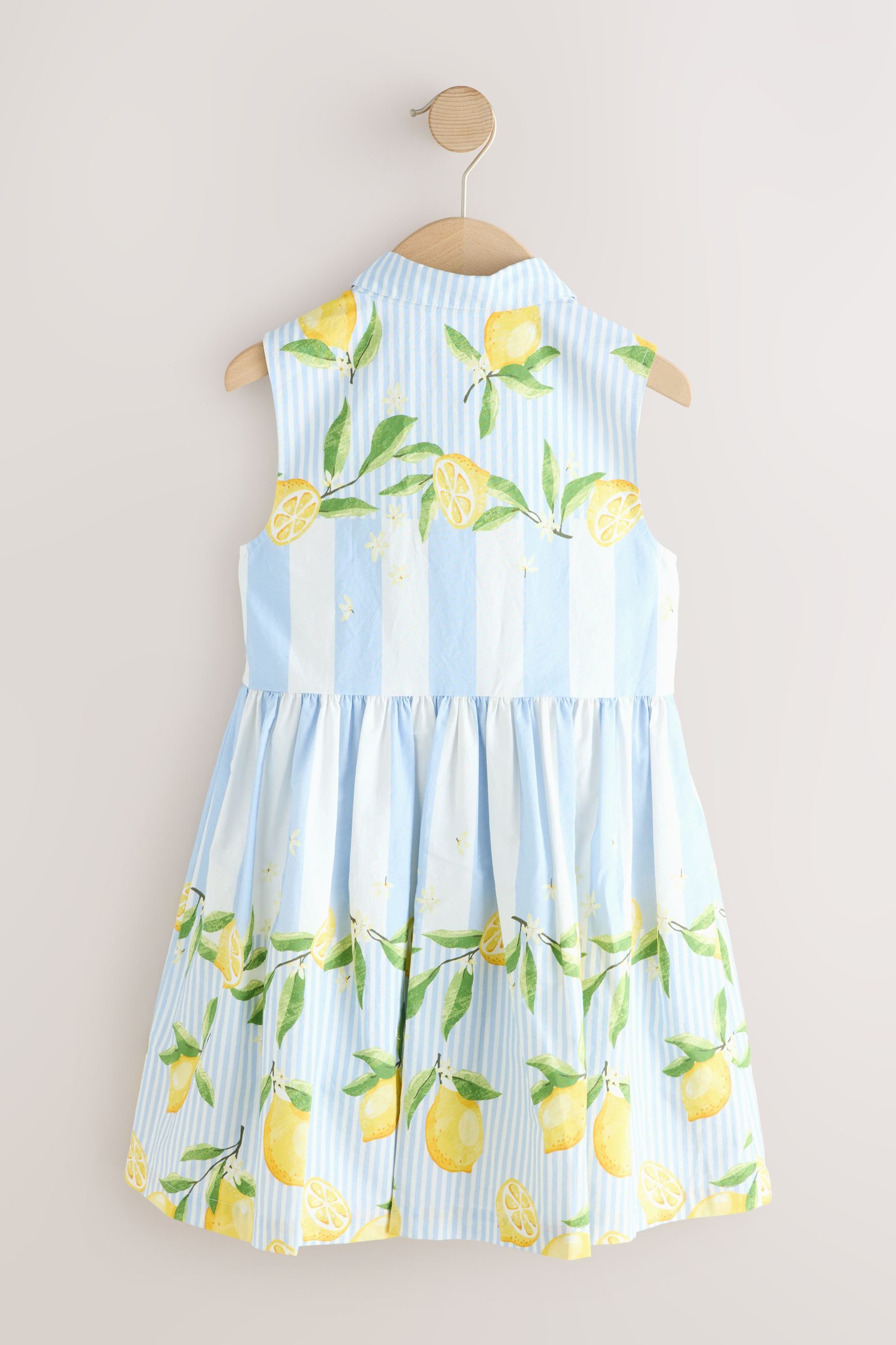 Next Hemdblusenkleid Hemdblusenkleid (1-tlg)