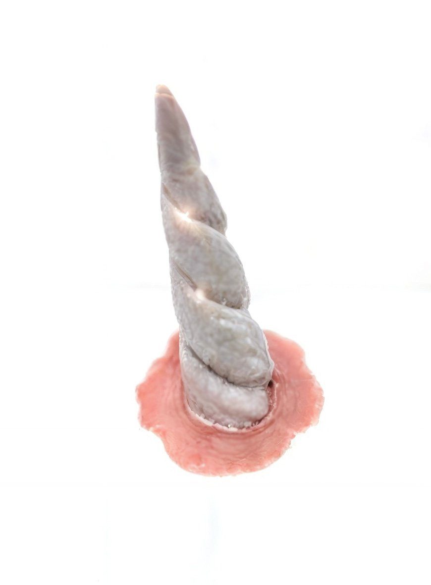 Tinsley Kostüm Einhorn Latexapplikation Karneval Faschingskostüm, Bezauberndes Latexhorn zum Ankleben auf die Stirn