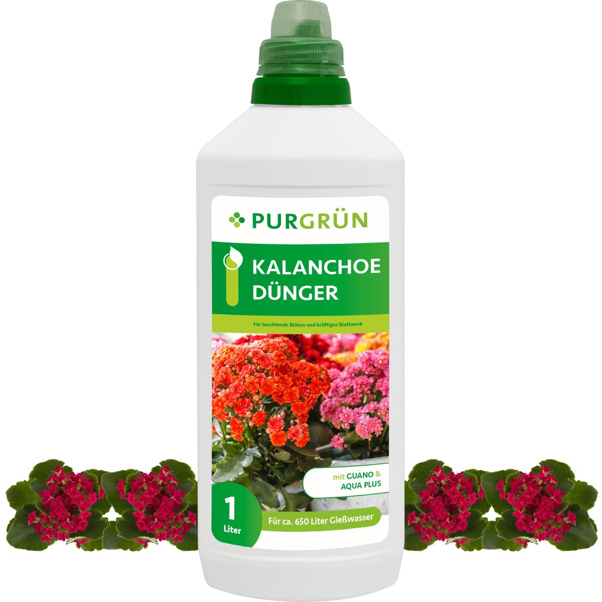 Blumendünger Purgrün Kalanchoe Dünger, NPK 8+8+6, Guano, 1 Liter
