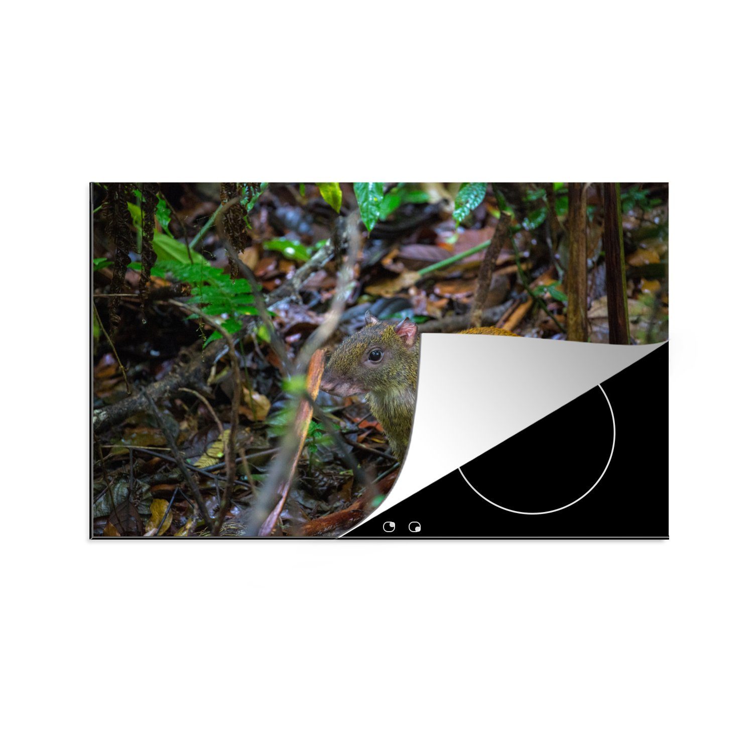 MuchoWow Herdblende-/Abdeckplatte Agoeti unter den nassen Bäumen, Vinyl, (1 tlg), 81x52 cm, Induktionskochfeld Schutz für die küche, Ceranfeldabdeckung