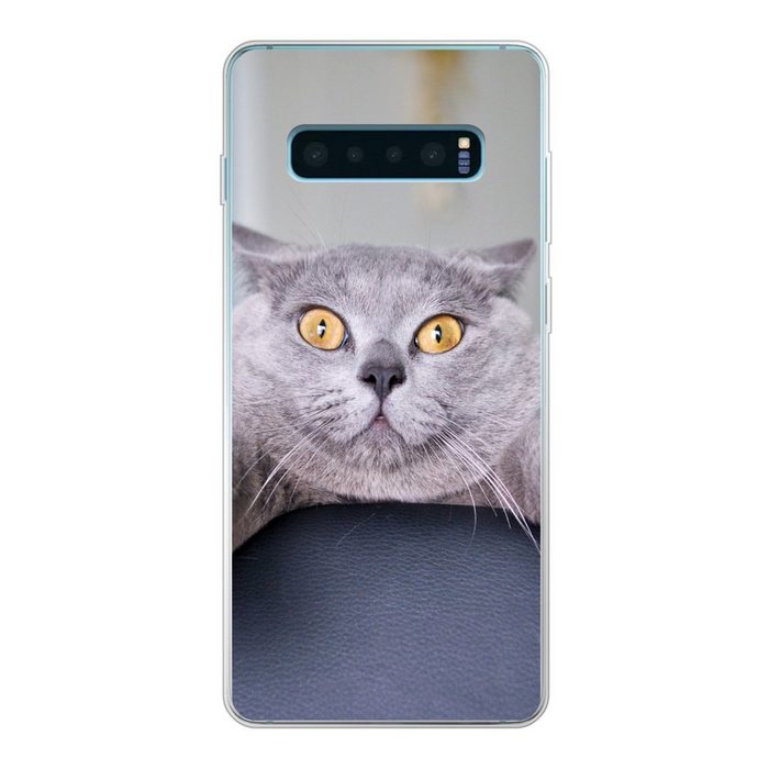 MuchoWow Handyhülle Katze - Angst - Stuhl Phone Case Handyhülle Samsung Galaxy S10 Lite Silikon Schutzhülle