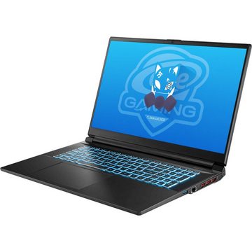 ONE GAMING ONE GAMING Commander V73-13NB-RN7 Gaming-Notebook (Intel Core i9 Serie 13. Generation Core i9-13900H, GeForce RTX 4000)