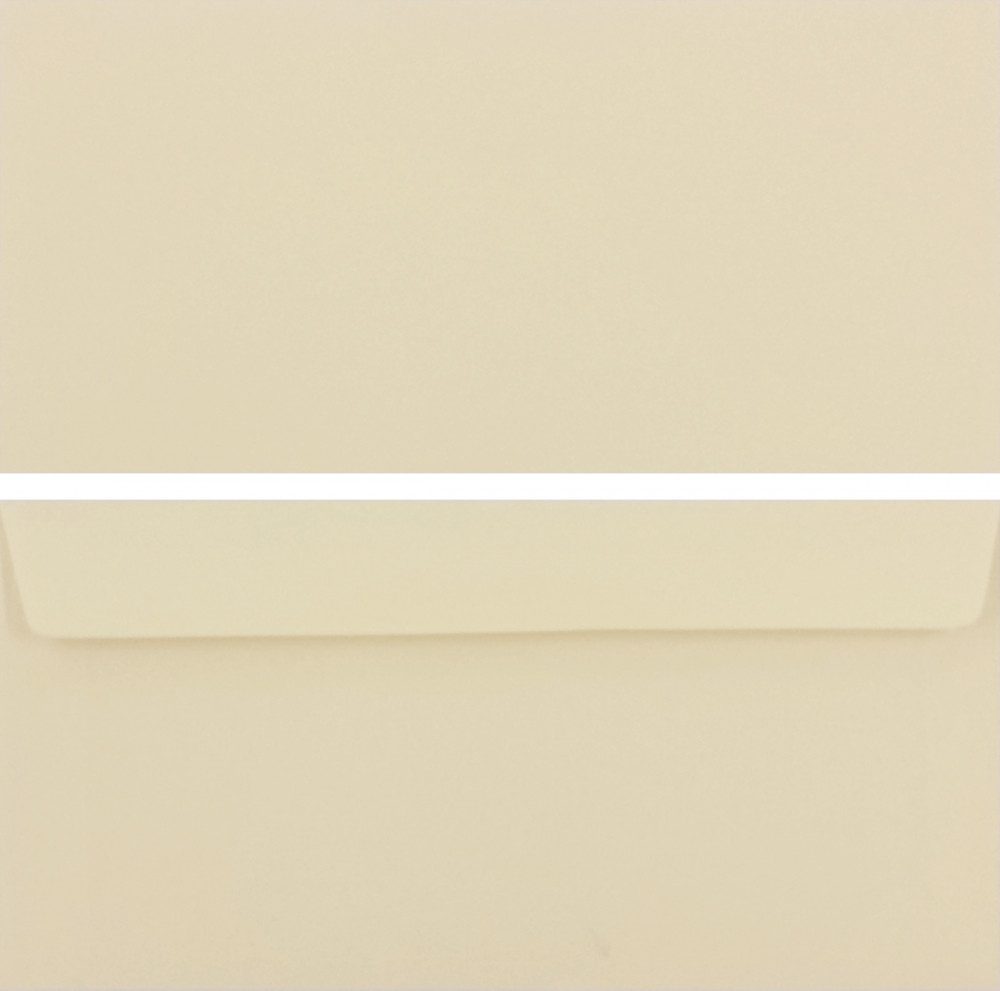 LYSCO Briefpapier farbige Premium Briefumschläge Caribic, Format DIN lang, Verschluss selbstklebend, ohne Fenster