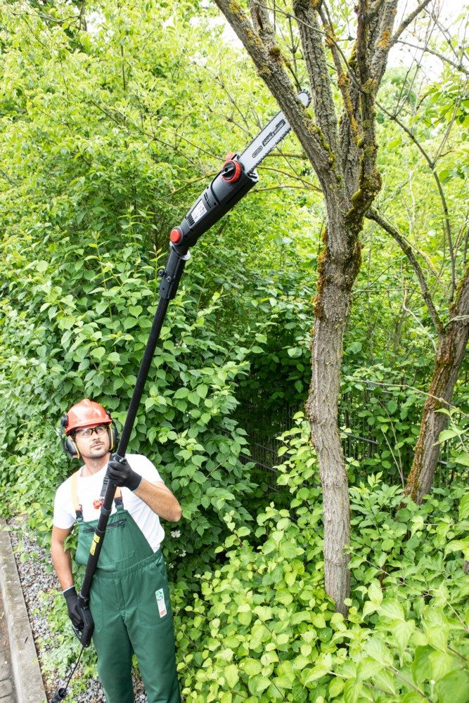 WALTER Elektro-Kettensäge Teleskop Kettensäge & Heckenschere günstig online kaufen
