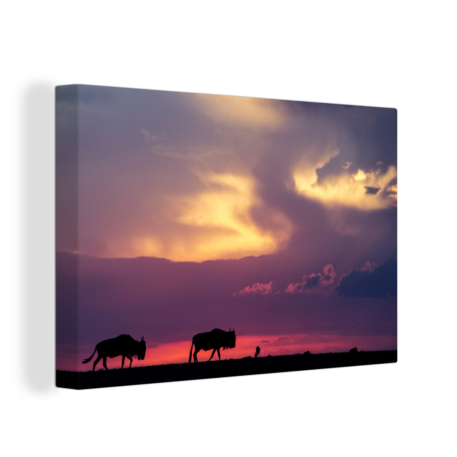 Aufhängefertig, Kenia, Leinwandbilder, dem Himmel über National Park St), 30x20 Wandbild Farbenfroher (1 Leinwandbild Wanddeko, OneMillionCanvasses® in cm Masai Mara