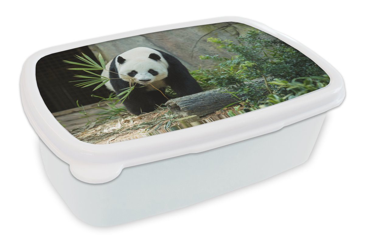 MuchoWow Lunchbox Panda - Baumstamm - Höhle, Kunststoff, (2-tlg), Brotbox für Kinder und Erwachsene, Brotdose, für Jungs und Mädchen weiß