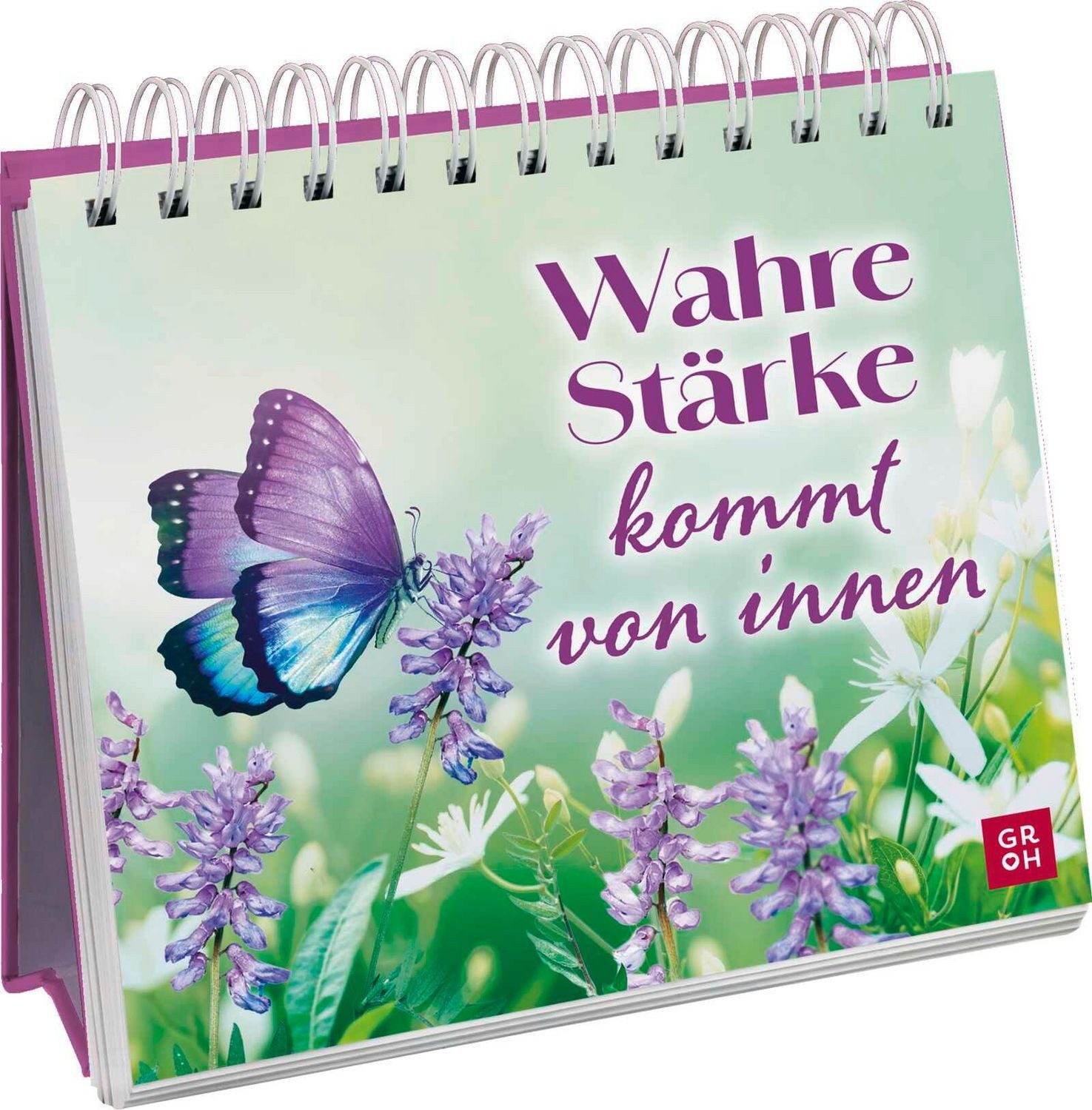 Wahre Stärke kommt von innen / diverse
