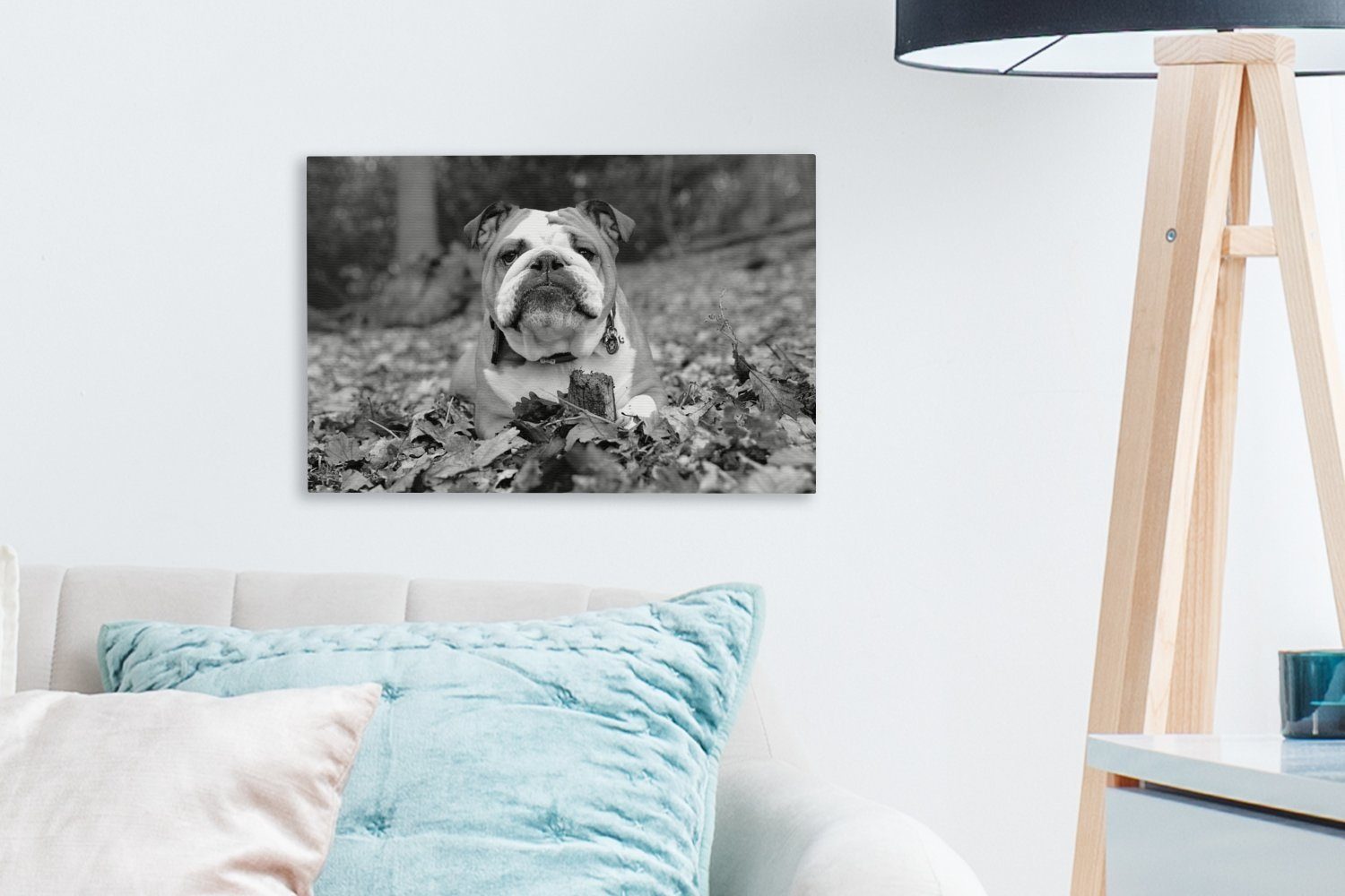 OneMillionCanvasses® Leinwandbild Englische Bulldogge im Leinwandbilder, liegend Wanddeko, und Wandbild - Aufhängefertig, schwarz Laub weiß, 30x20 (1 cm St)