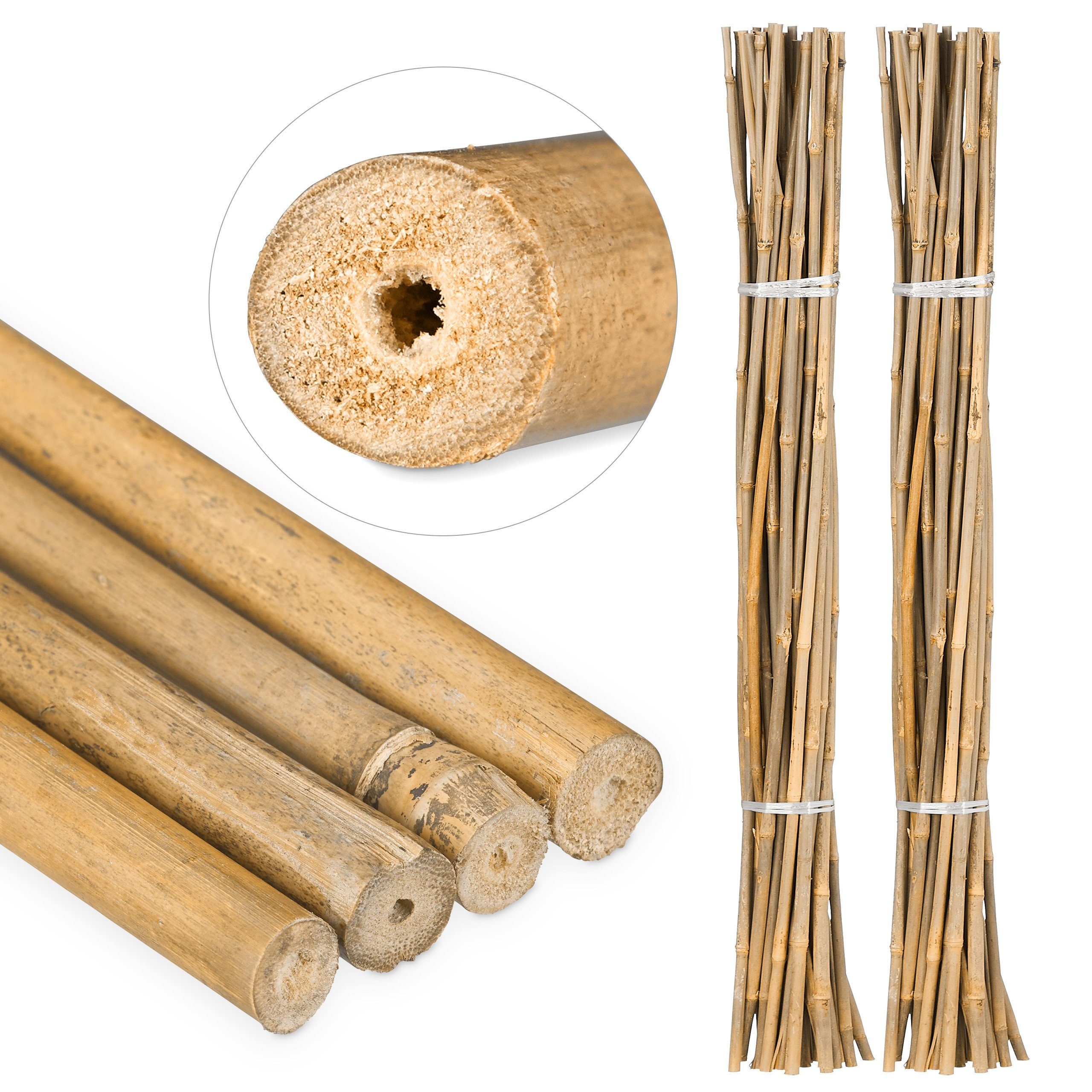 Rankhilfe 50 x Bambusstäbe 105cm