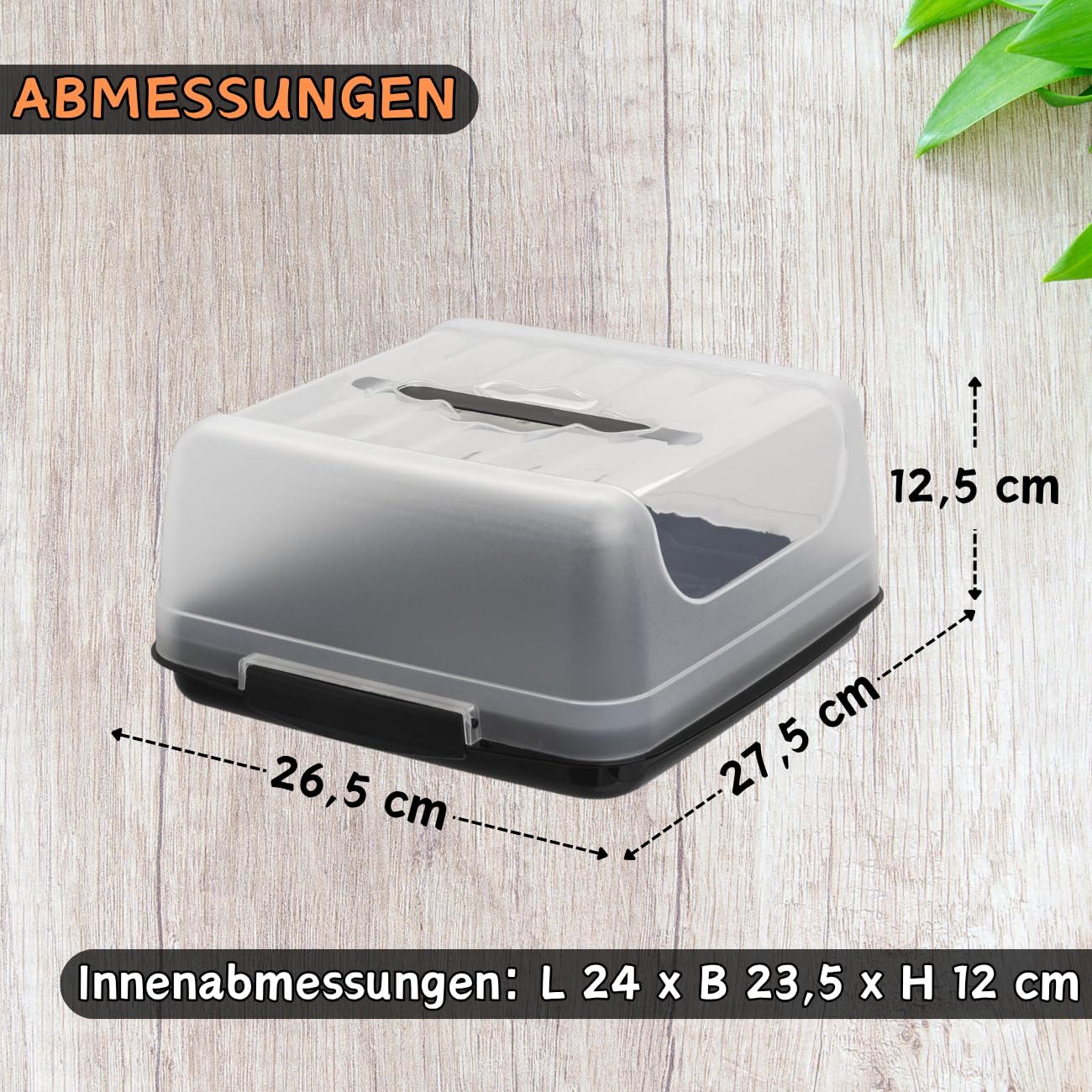 Engelland Kuchentransportbox Kleine Kuchenbox mit transparentem Deckel, Kunststoff, (Vorteils-Set, 1-tlg., sicheres Transportieren), mit Tragegriff und Klickverschluss, BPA-frei, rechteckig, Kunststoff