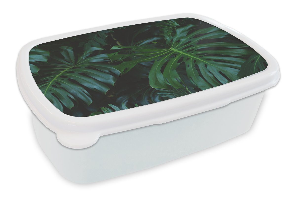 MuchoWow Lunchbox Monstera - Blätter - Tropisch - Dschungel, Kunststoff, (2-tlg), Brotbox für Kinder und Erwachsene, Brotdose, für Jungs und Mädchen weiß