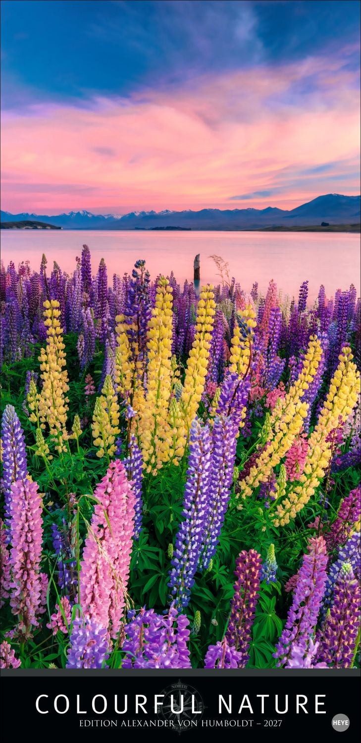 HEYE Wandkalender Colourful Nature 2027