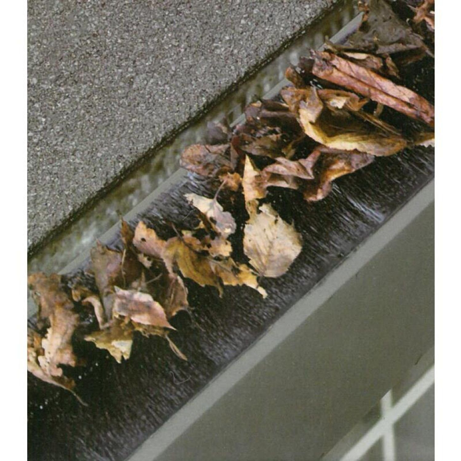 Reinigungsbürste entfernen Dachrinnenreiniger Dachrinnenraupe x Schmutz Grüner 12cm BURI Jan 4m