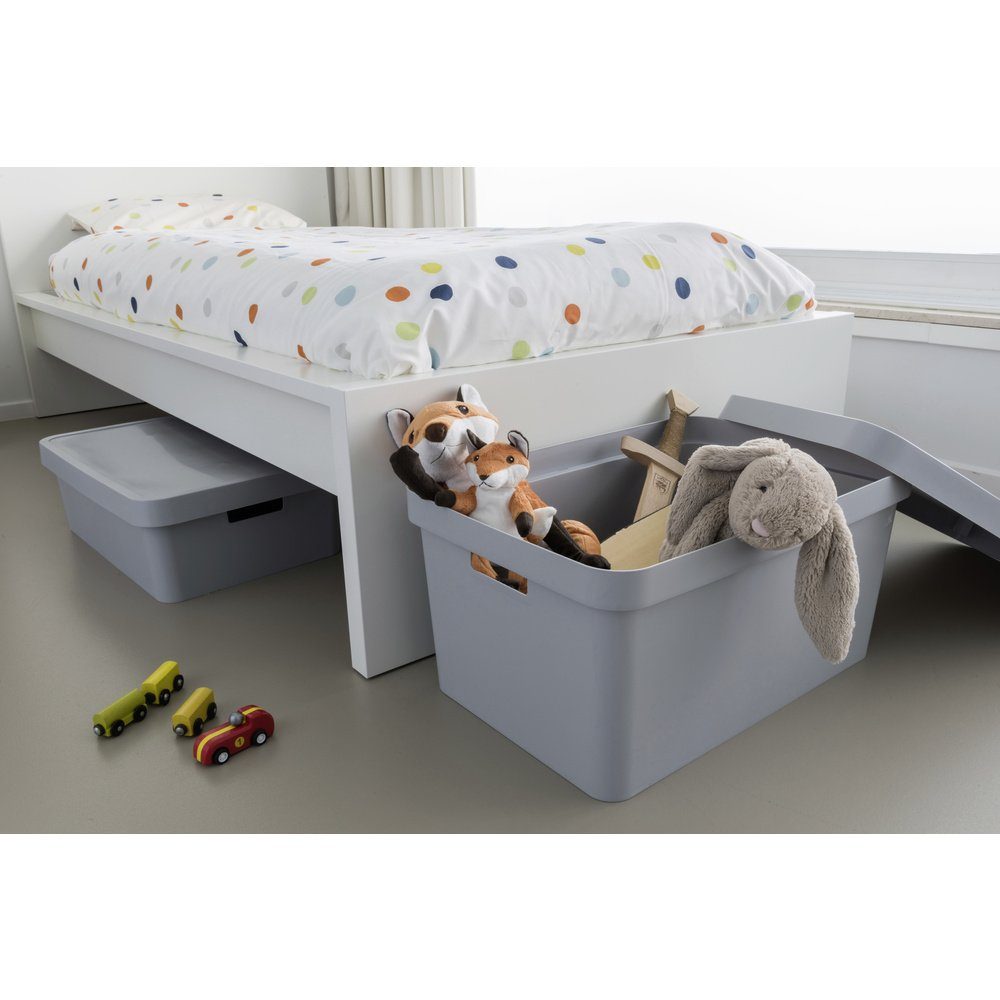 Curver Aufbewahrungsbox Curver 240659 Kunststoffbox INFINITY günstig online kaufen