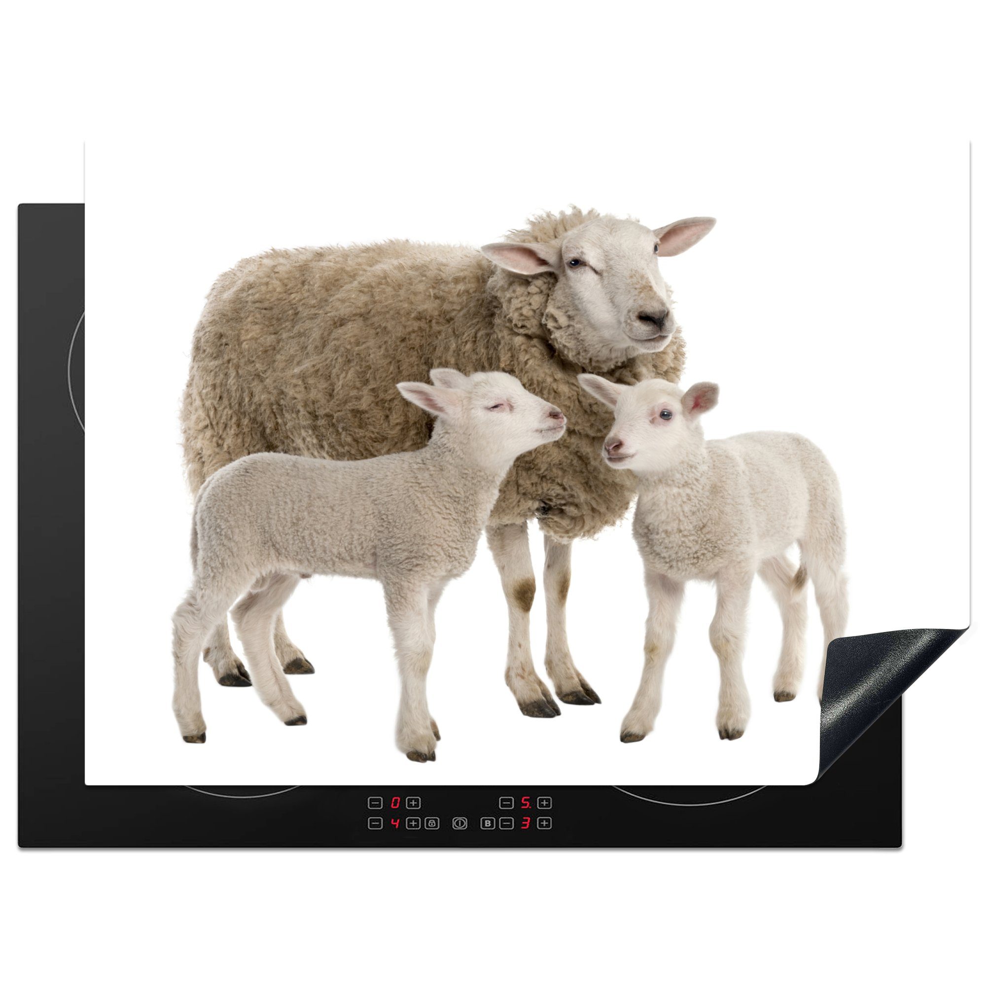 MuchoWow Herdblende-/Abdeckplatte Schafe - Tiere - Lamm, Vinyl, (1 tlg), 71x52 cm, Induktionskochfeld Schutz für die küche, Ceranfeldabdeckung