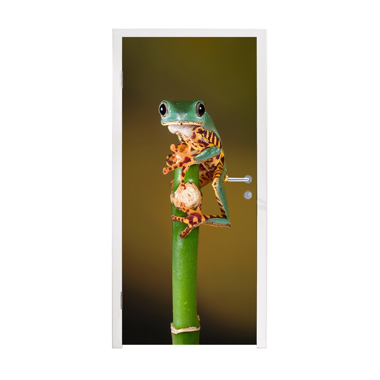 grüner Pflanze, Frosch bedruckt, auf (1 Fototapete Matt, Türaufkleber, Türtapete 75x205 MuchoWow Tür, Nahaufnahme, cm für St),