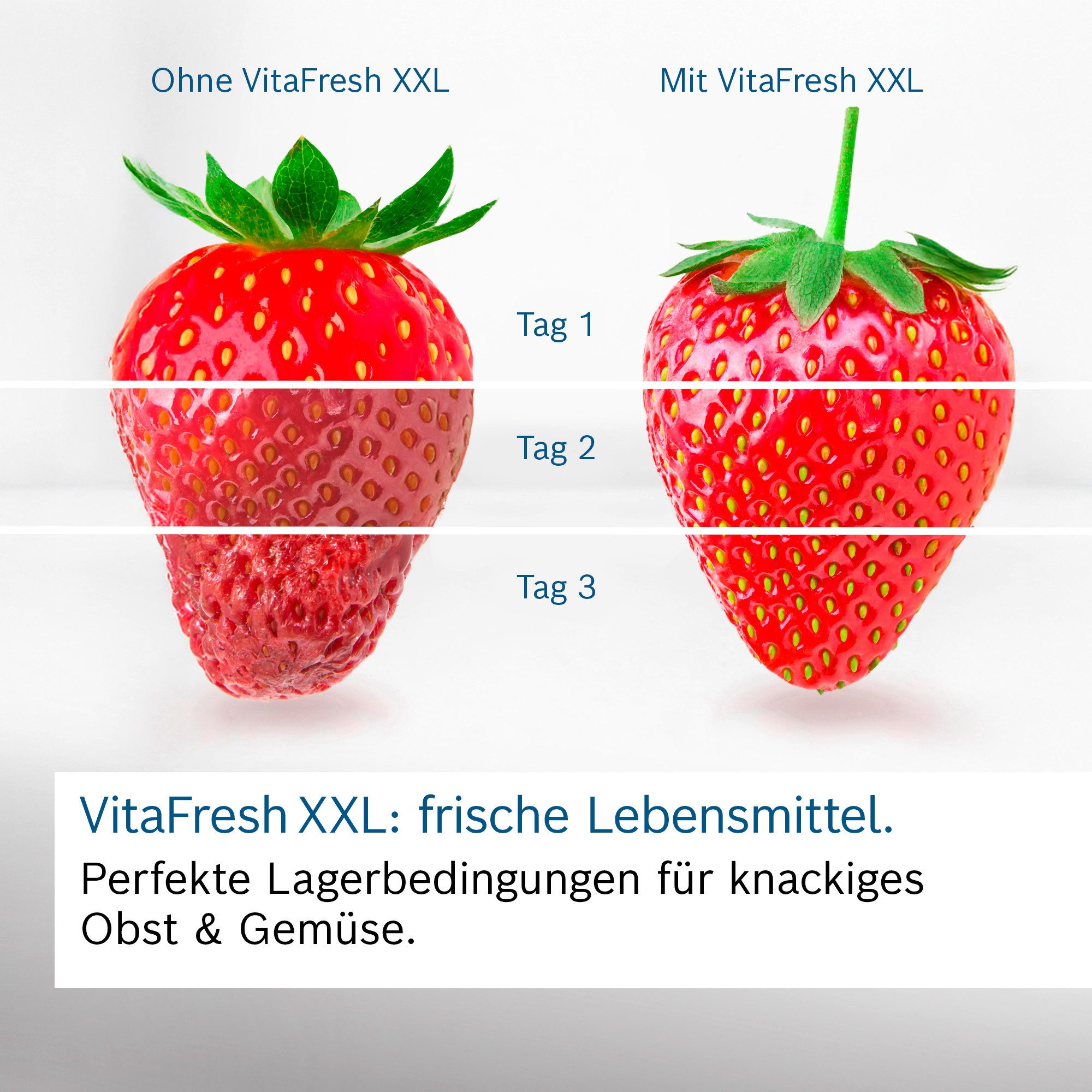 BOSCH Kühl-/Gefrierkombination Serie 6 KGE36ALCA, 186 cm hoch, 60 cm breit