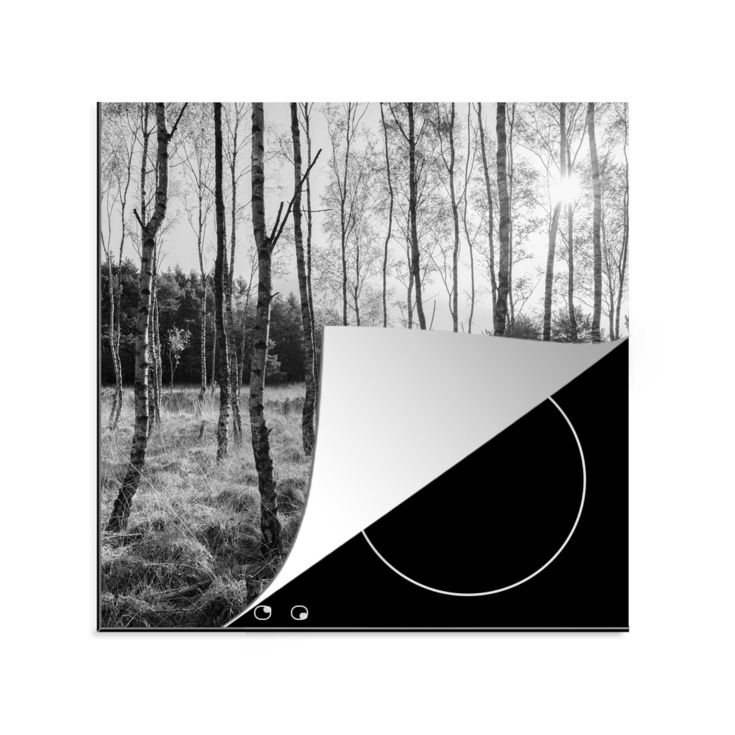 MuchoWow Herdblende-/Abdeckplatte Europa - Bäume - Wald - Schwarz - Weiß, Vinyl, (1 tlg), 78x78 cm, Ceranfeldabdeckung, Arbeitsplatte für küche