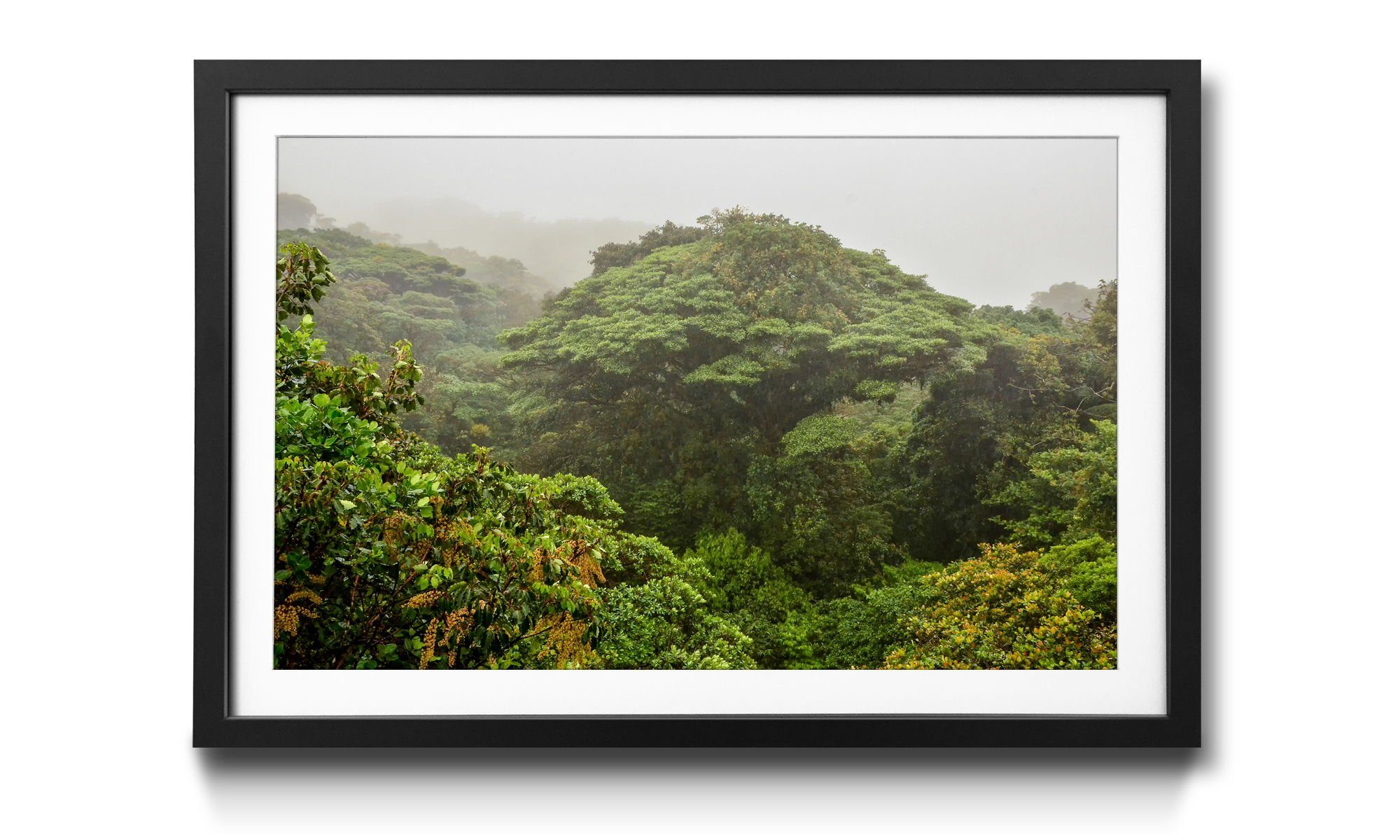 WandbilderXXL Bild mit Rahmen Jungle, Wald, Wandbild, in 4 Größen erhältlich