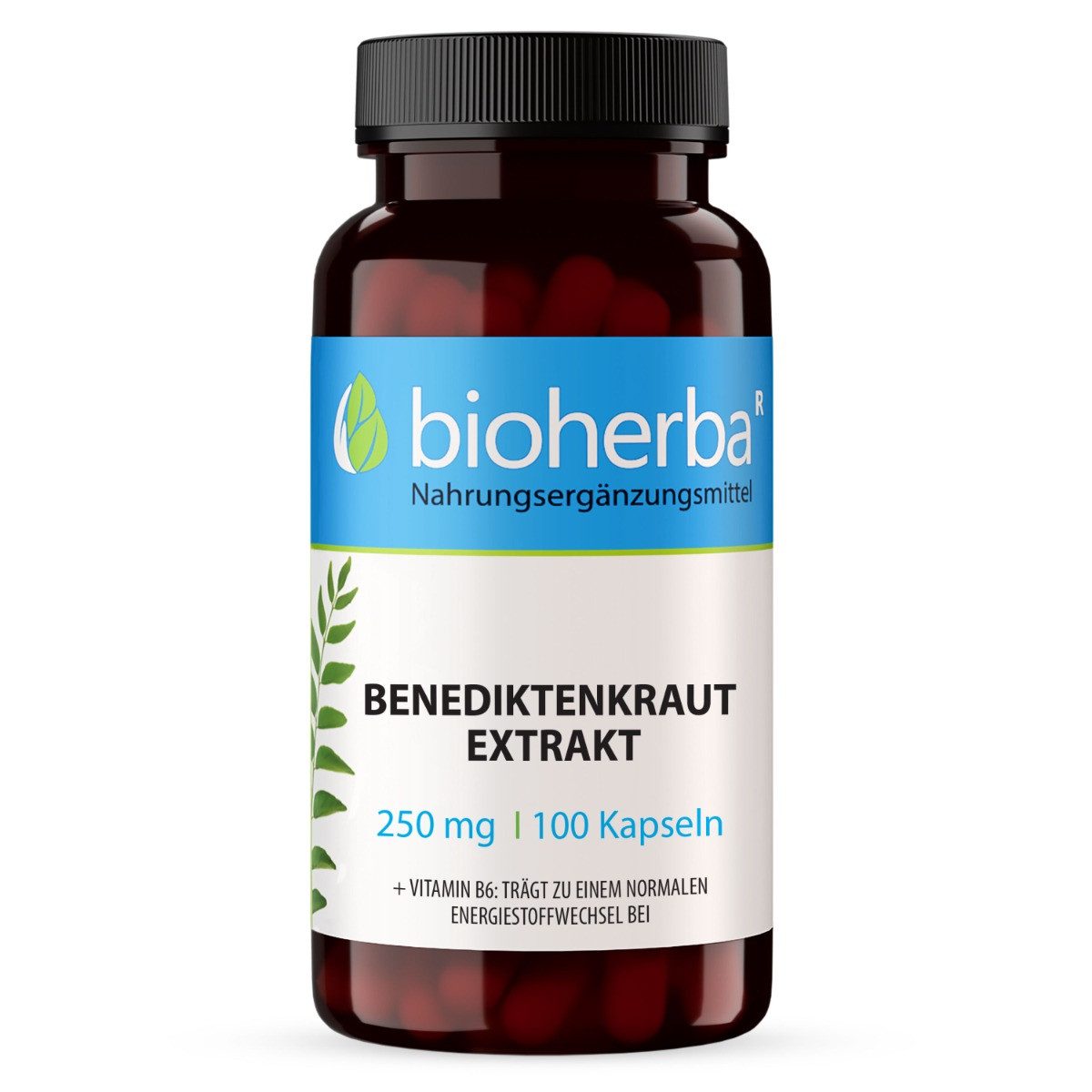 BIOHERBA R Bioherba Benediktenkraut Extrakt 250 mg 100 Kapseln Nahrungsergänzungsmittel, 1 er