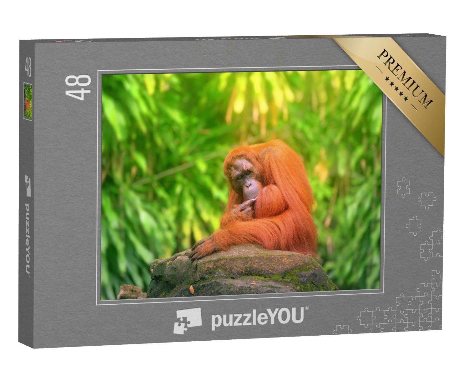 puzzleYOU Puzzle Orang-Utan sitzend mit Dschungel als Hintergrund, 48 Puzzleteile, puzzleYOU-Kollektionen Affen, Tiere in Dschungel & Regenwald