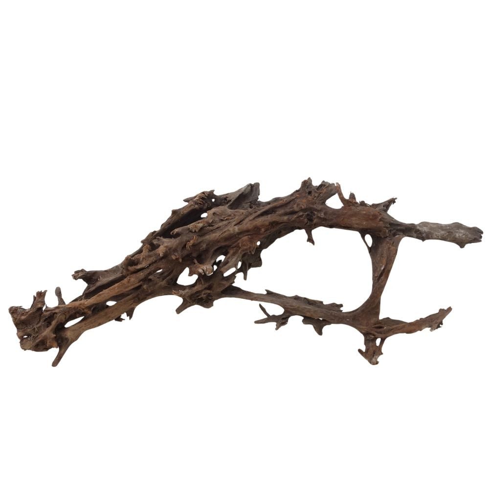 Aquaone Aquarium XXL Mangrovenwurzel Nr.3007 Holz Deko Aquascaping