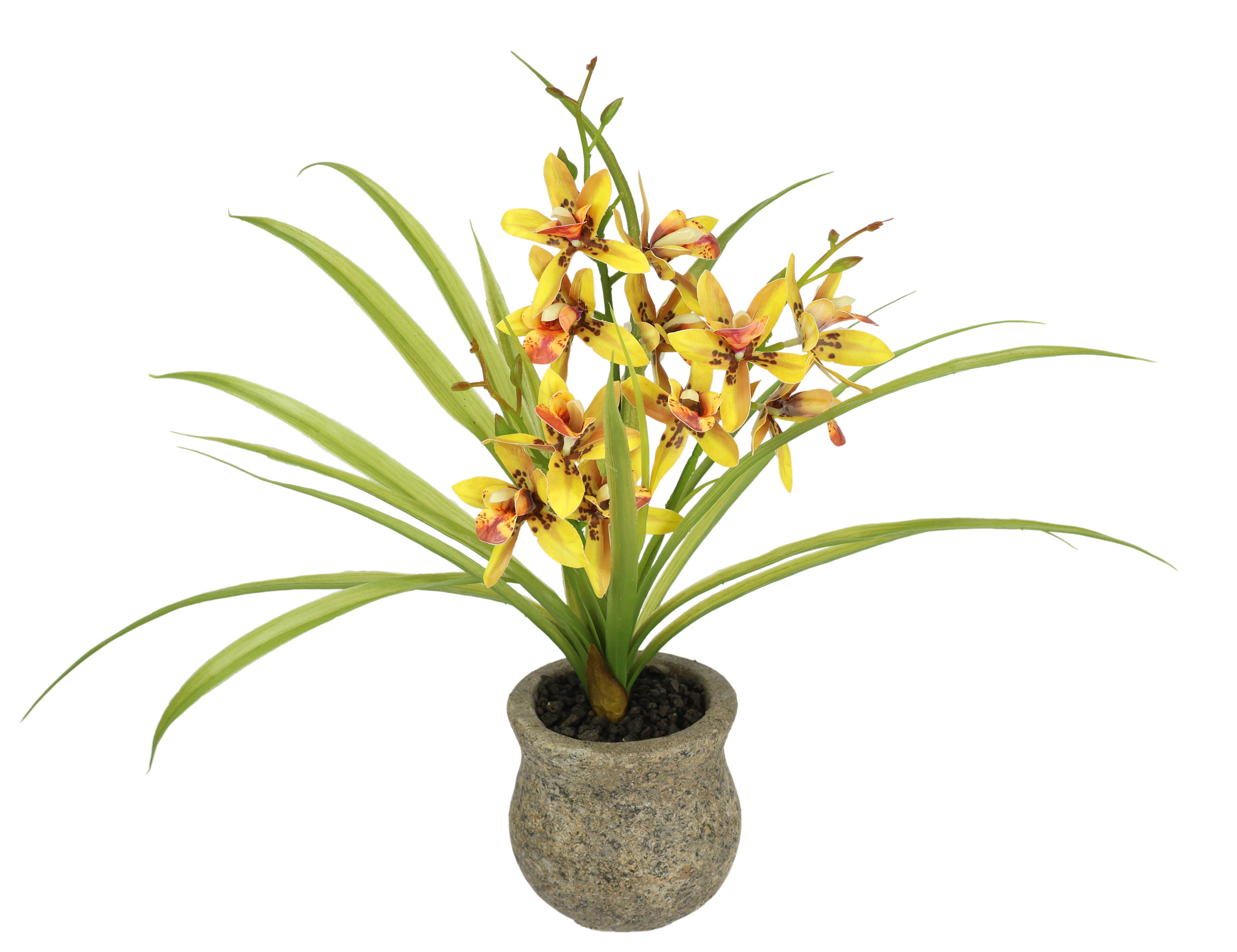 Kunstblume Kunstblume Schmetterling Orchidee mit Keramiktopf, günstig online kaufen