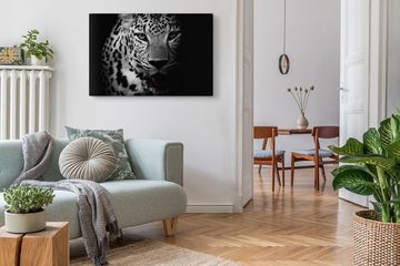 Sinus Art Leinwandbild 120x80cm Wandbild auf Leinwand Schwarz Weiß Tierfotografie Jaguar Raub, (1 St)