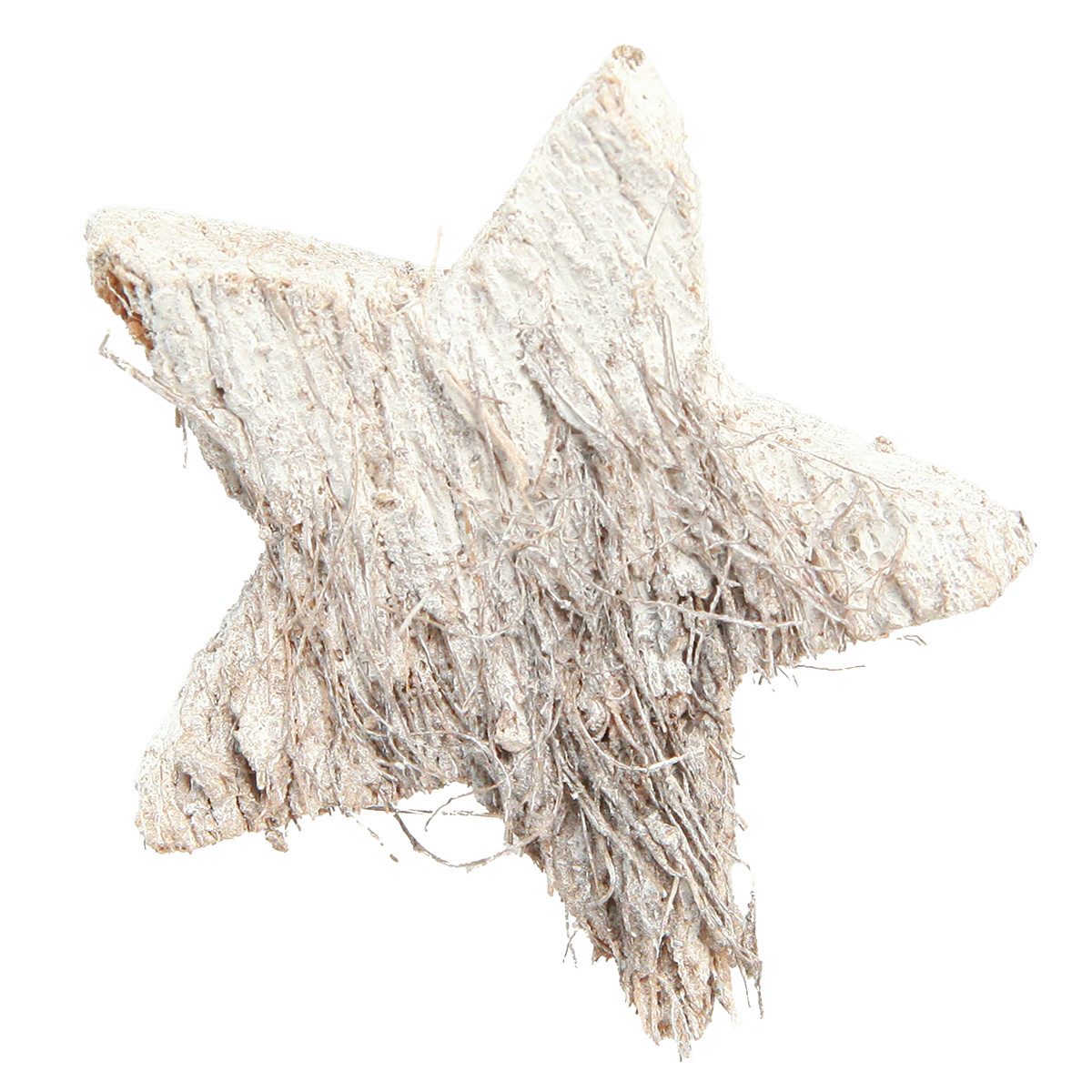 Florists Products Weihnachtsmann Kokos Stern Deko Weiß gewaschen Cocossterne 5cm 30 St -, 30 Stück