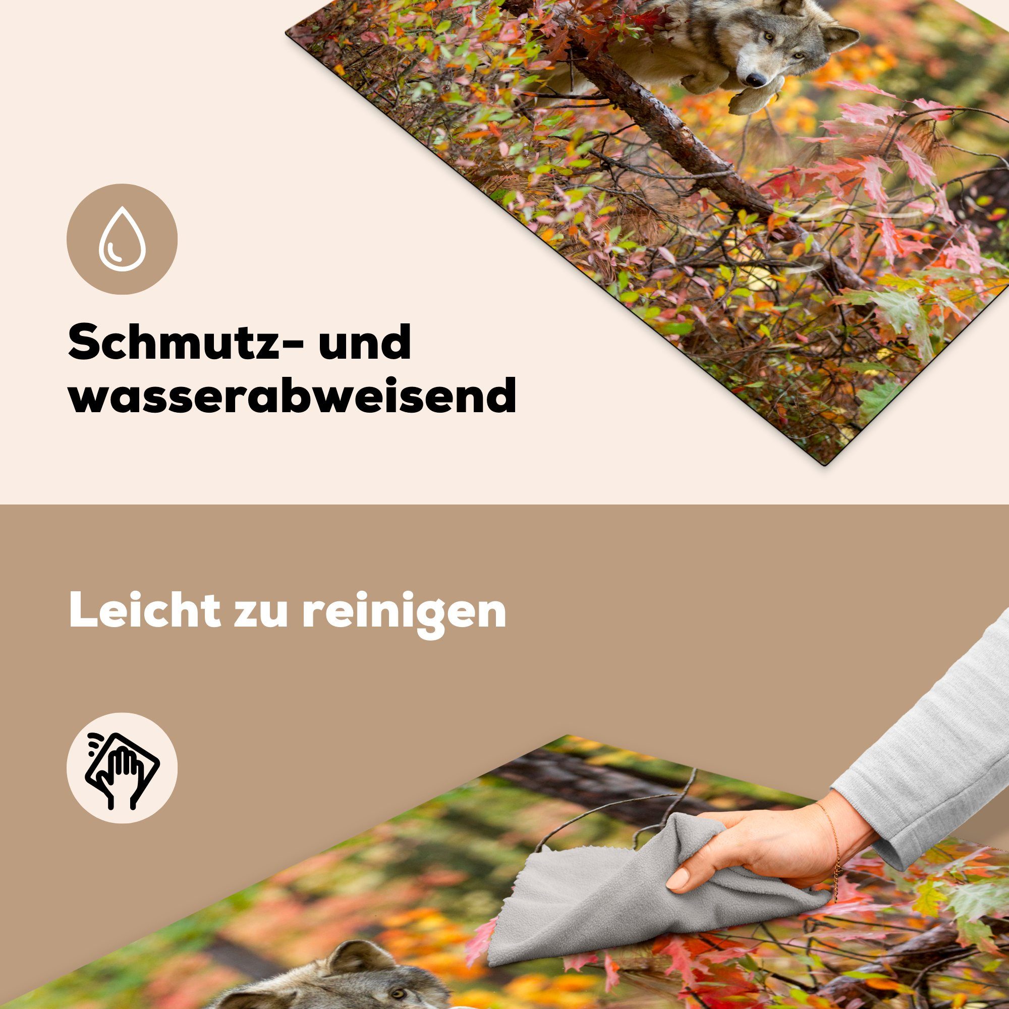 (1 Herdblende-/Abdeckplatte Ceranfeldabdeckung küche, - Wolf Ast Wald, die tlg), Vinyl, MuchoWow cm, Induktionskochfeld für - Schutz 81x52