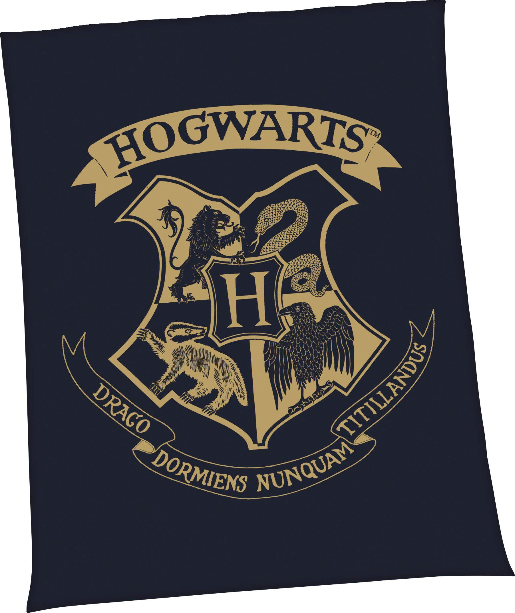 Wohndecke Harry Potter, Harry Potter, mit günstig online kaufen