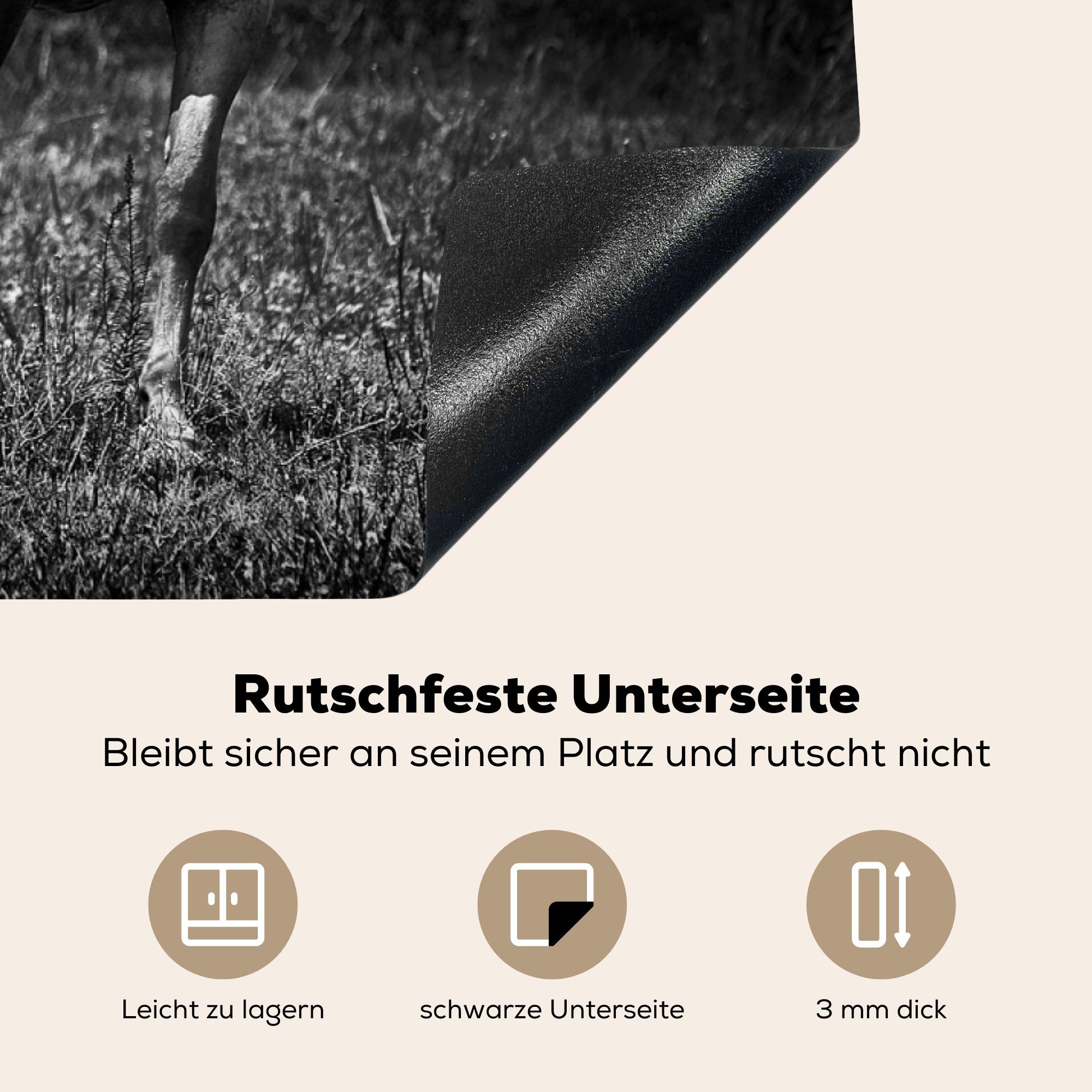 Arbeitsplatte Ceranfeldabdeckung, Pferde Weiß, küche Schwarz 83x51 (1 - cm, Gras Herdblende-/Abdeckplatte - Vinyl, für - tlg), MuchoWow