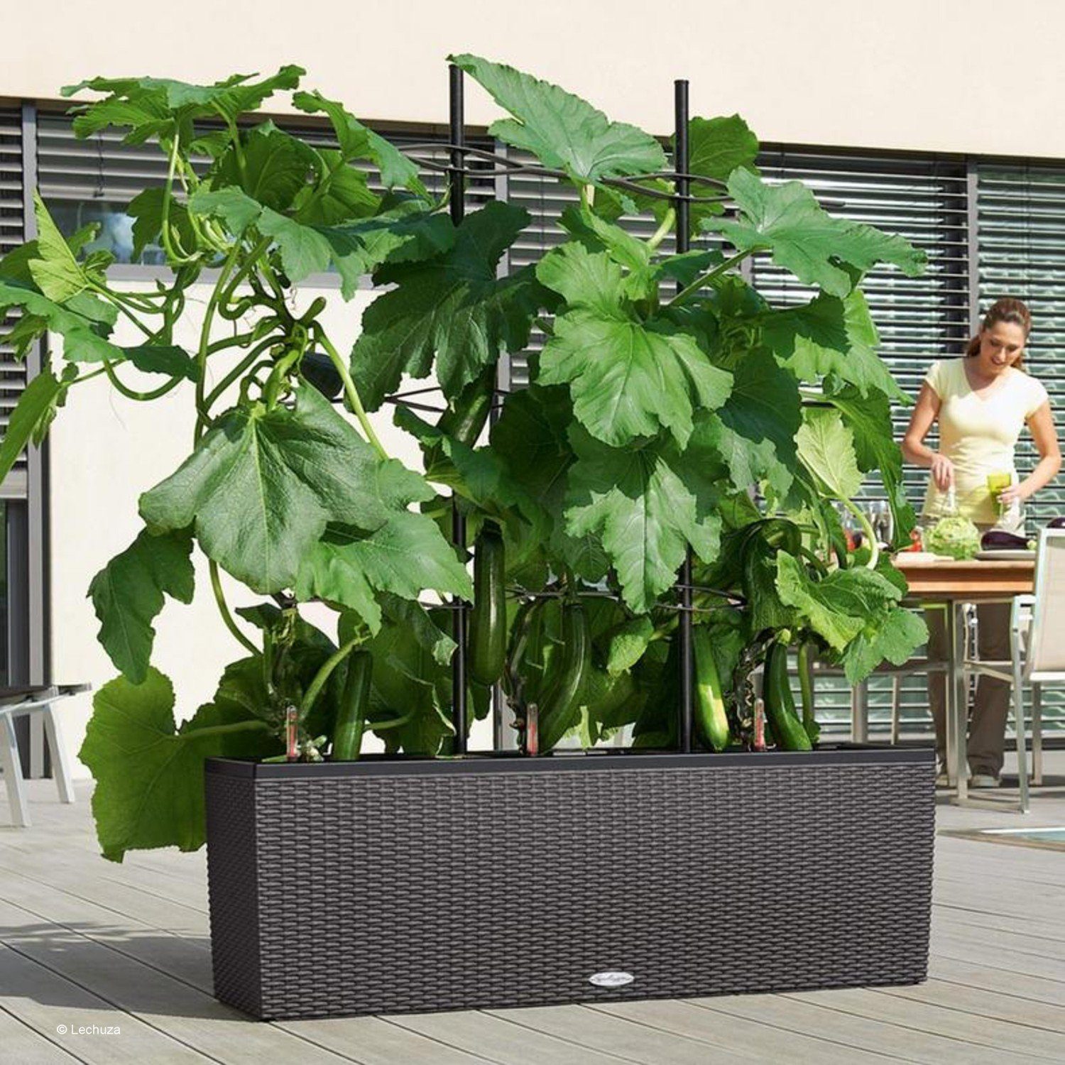 Lechuza® Blumentopf Rankgitter Trio Cottage 30 schwarz (Zubehör (NUR DAS RANKGITTER)
