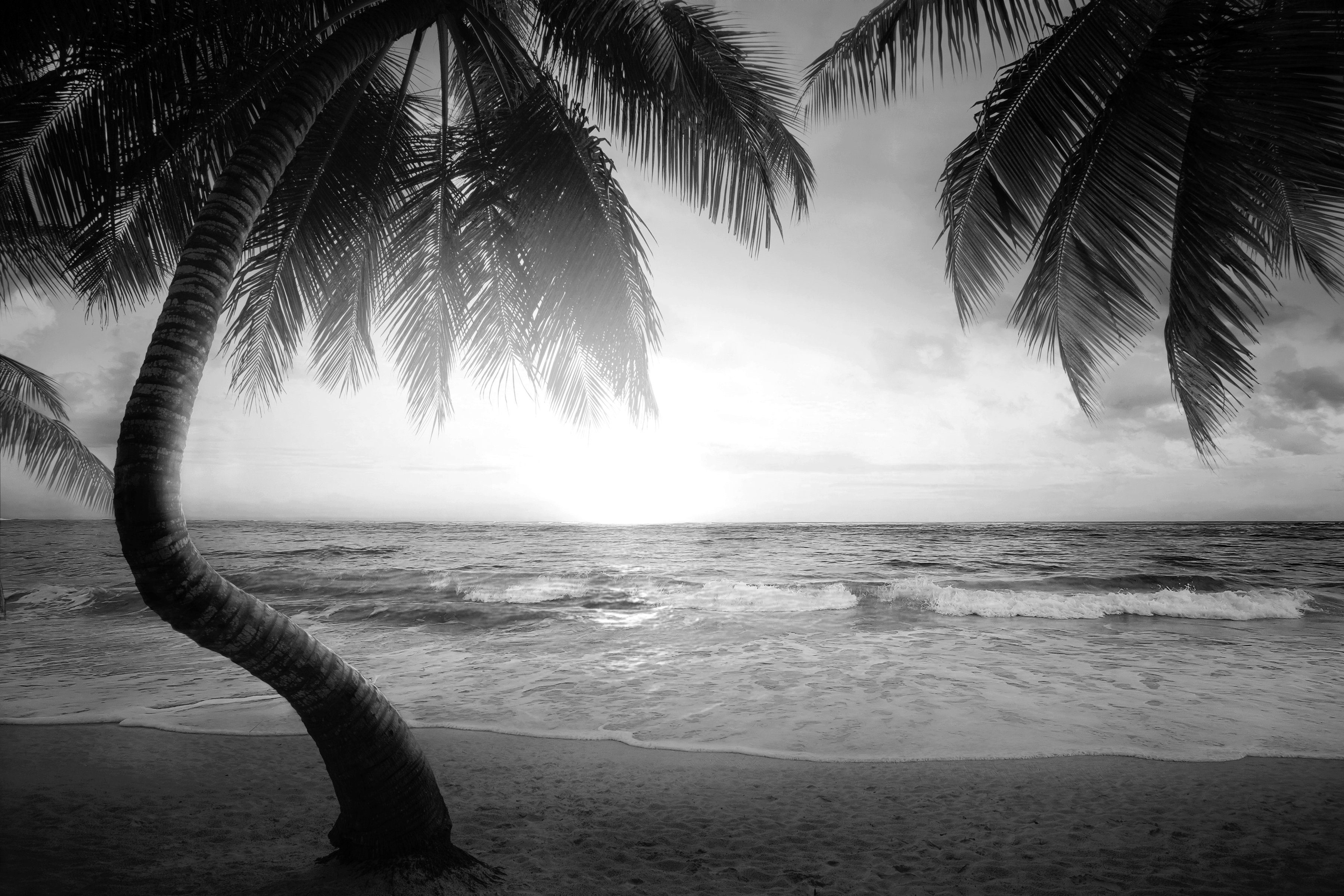 Schwarz Fototapete Weiß Papermoon Strand &