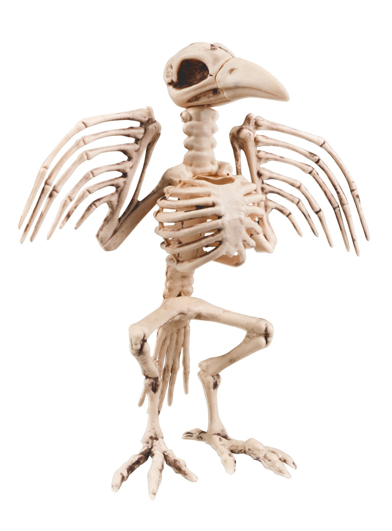 Metamorph Dekofigur Vogelskelett Halloween Deko, Makaberes günstig online kaufen