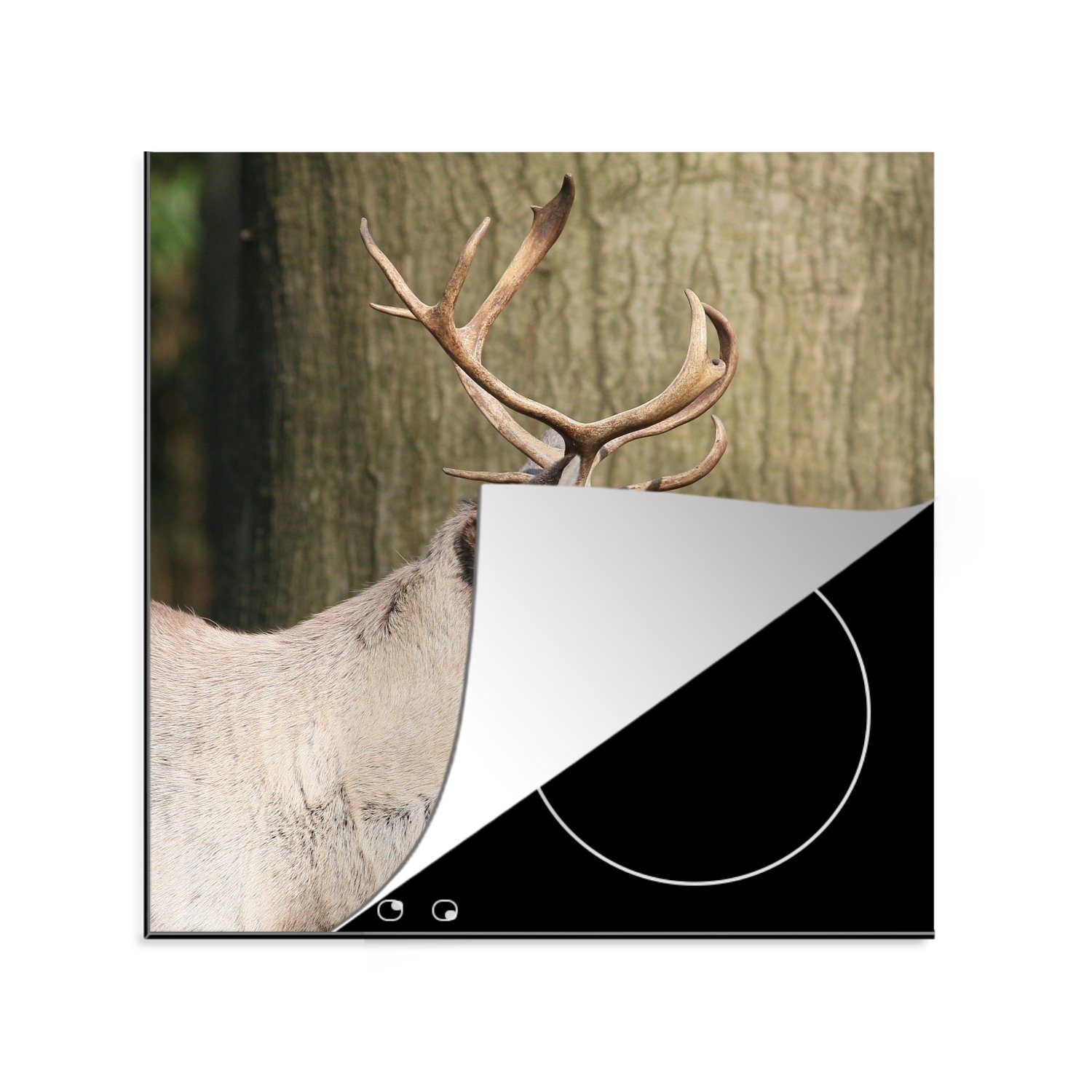 MuchoWow Herdblende-/Abdeckplatte Nahaufnahme eines Rentiers vor einem Baum, Vinyl, (1 tlg), 78x78 cm, Ceranfeldabdeckung, Arbeitsplatte für küche