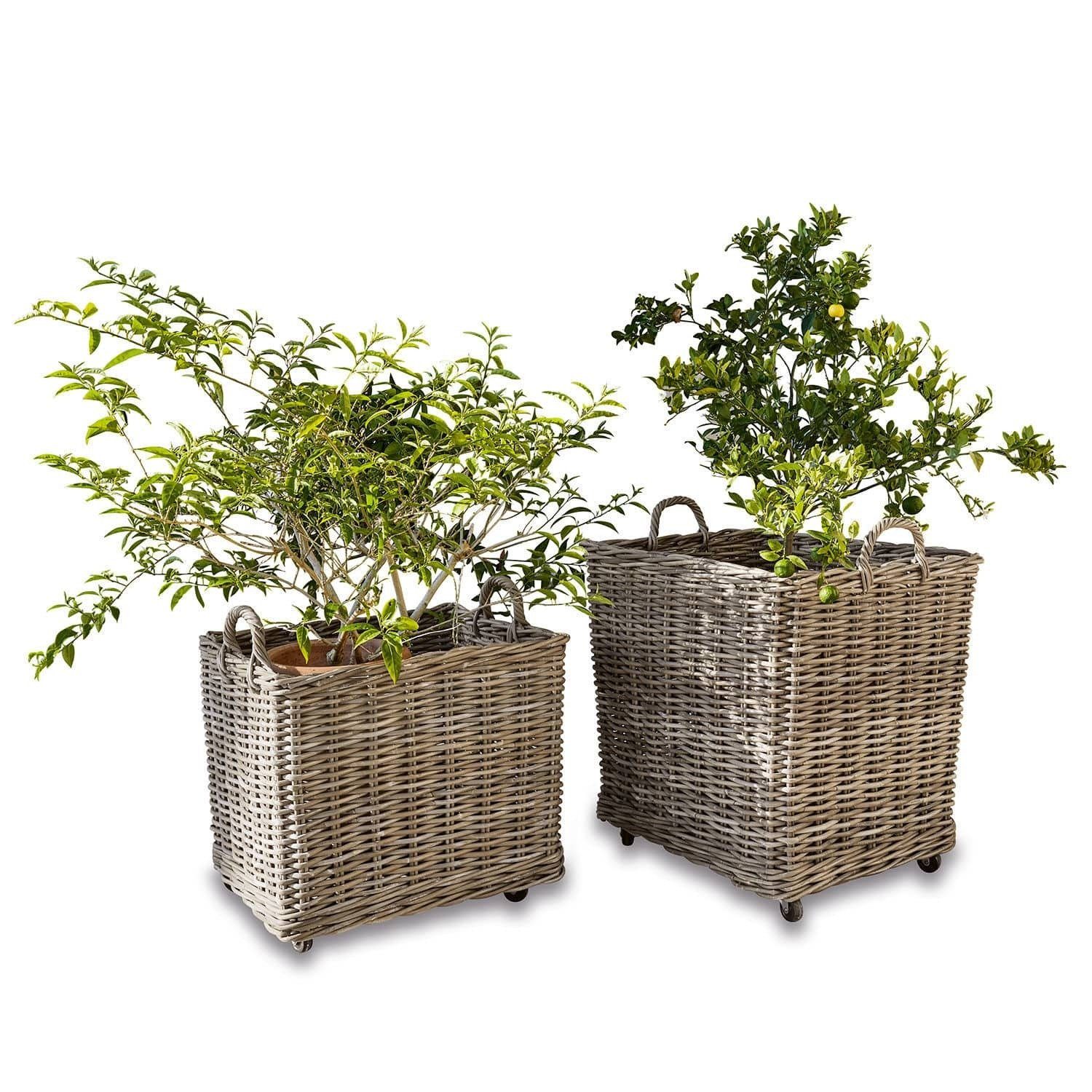 Mirabeau Übertopf Pflanzkorb 2er Set Gialousa günstig online kaufen