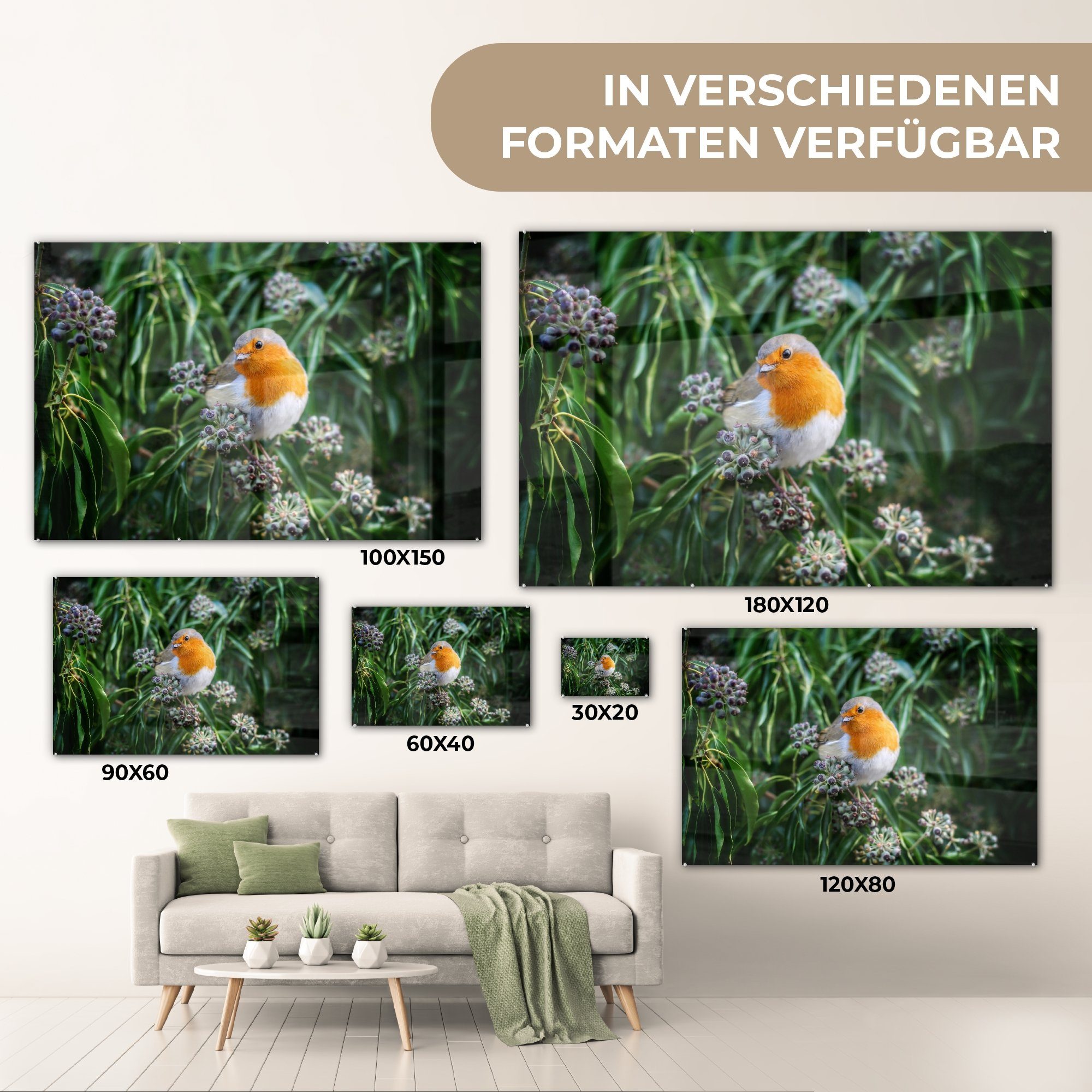 MuchoWow Acrylglasbild Blumen St), Acrylglasbilder Schlafzimmer Vogel (1 Rotkehlchen, - Wohnzimmer - &