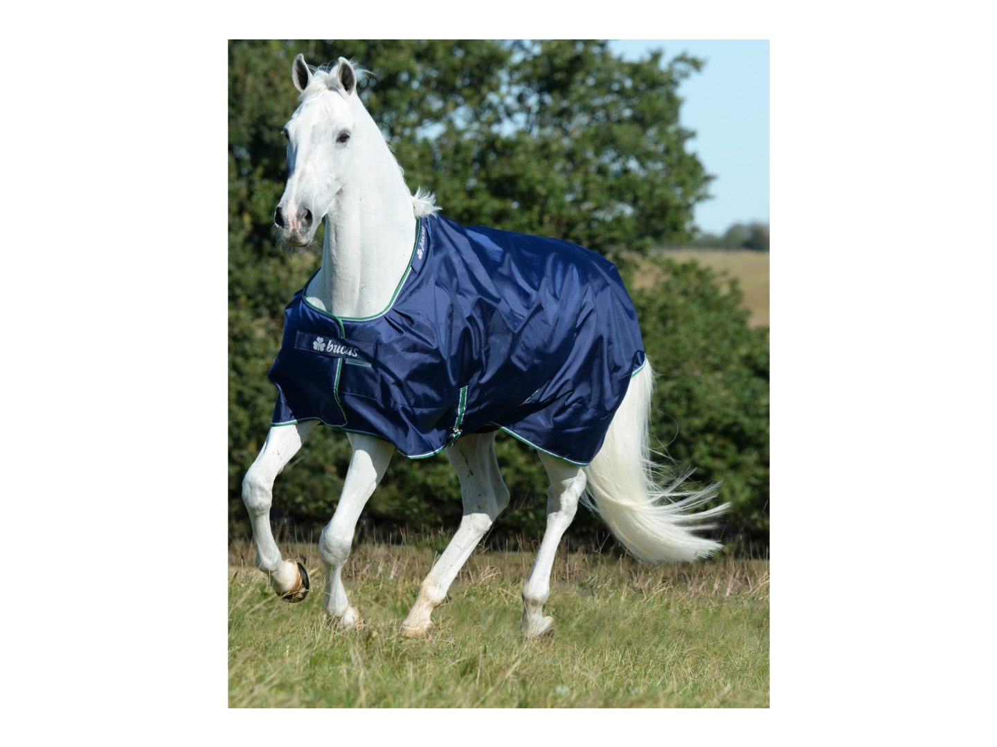 Bucas Ausreitdecke Outdoordecke Smartex Rain 0g in Blue