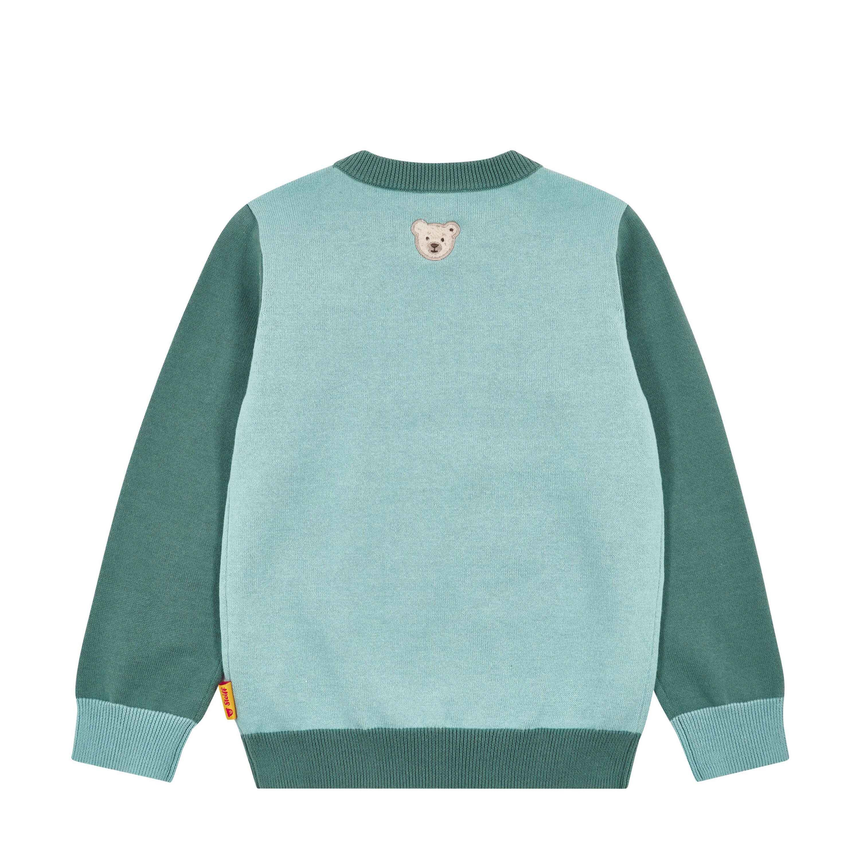 Steiff Rundhalspullover Pullover Dinosaur