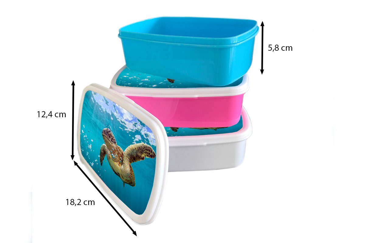 MuchoWow Lunchbox Eine von Erwachsene, Mädchen Blasen, Brotdose, für (2-tlg), Kunststoff, für Kinder und umgeben und Jungs Brotbox Meeresschildkröte weiß