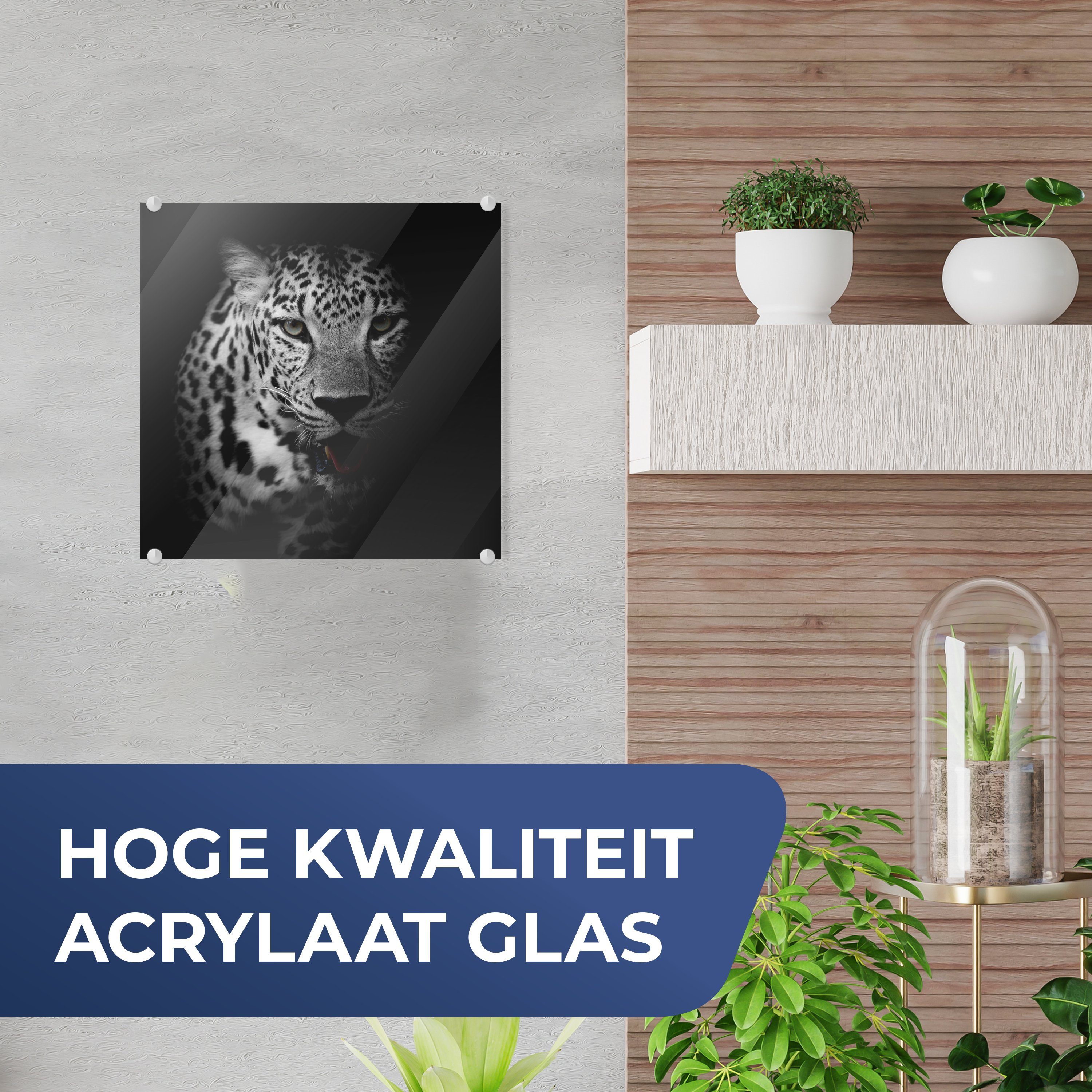 MuchoWow Acrylglasbild Tiere - Schwarz - günstig online kaufen