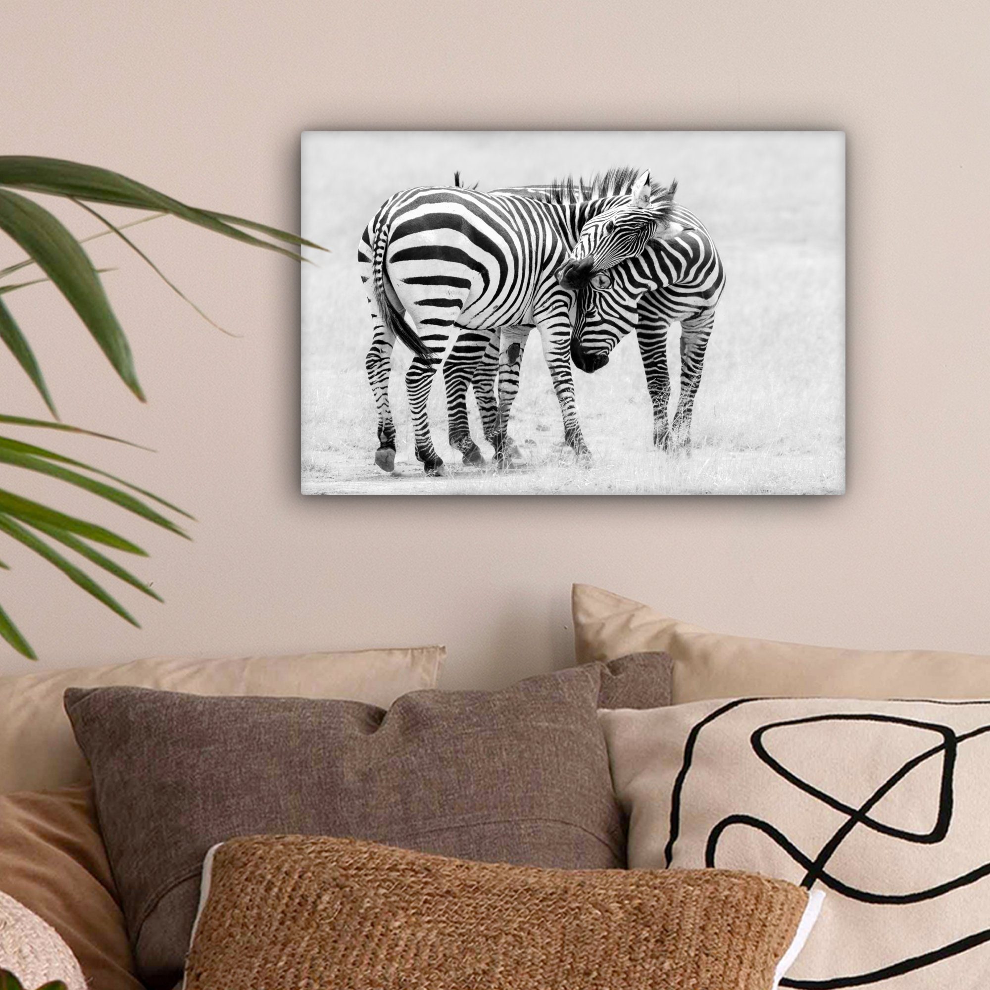 OneMillionCanvasses® Leinwandbild Zebra - Tiere - Natur - Safari, Fotodruck günstig online kaufen