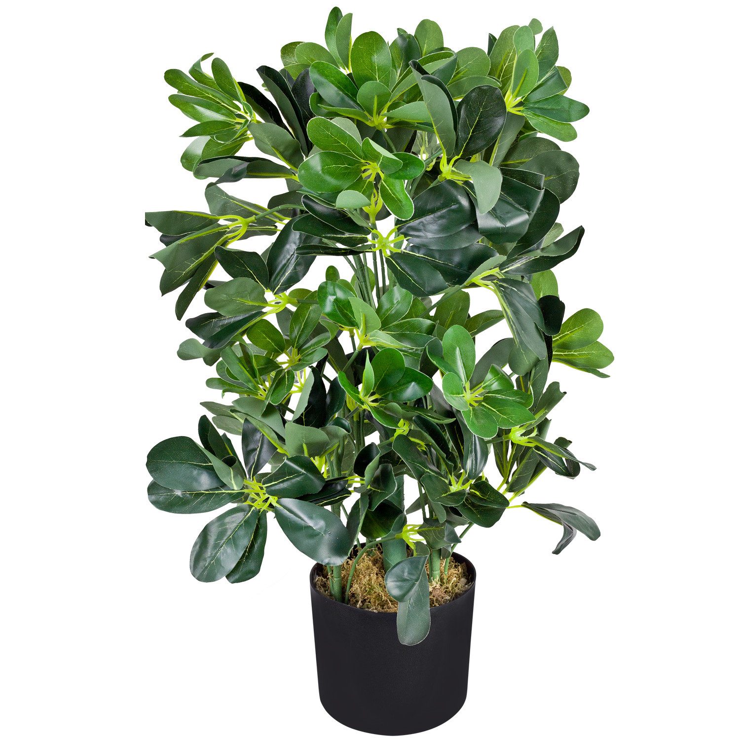 Künstliche Zimmerpflanze Schefflera Aralia Kunstpflanze Künstliche Pflanze Stahlenaralie 60 cm Schefflera, Decovego, Höhe 60 cm