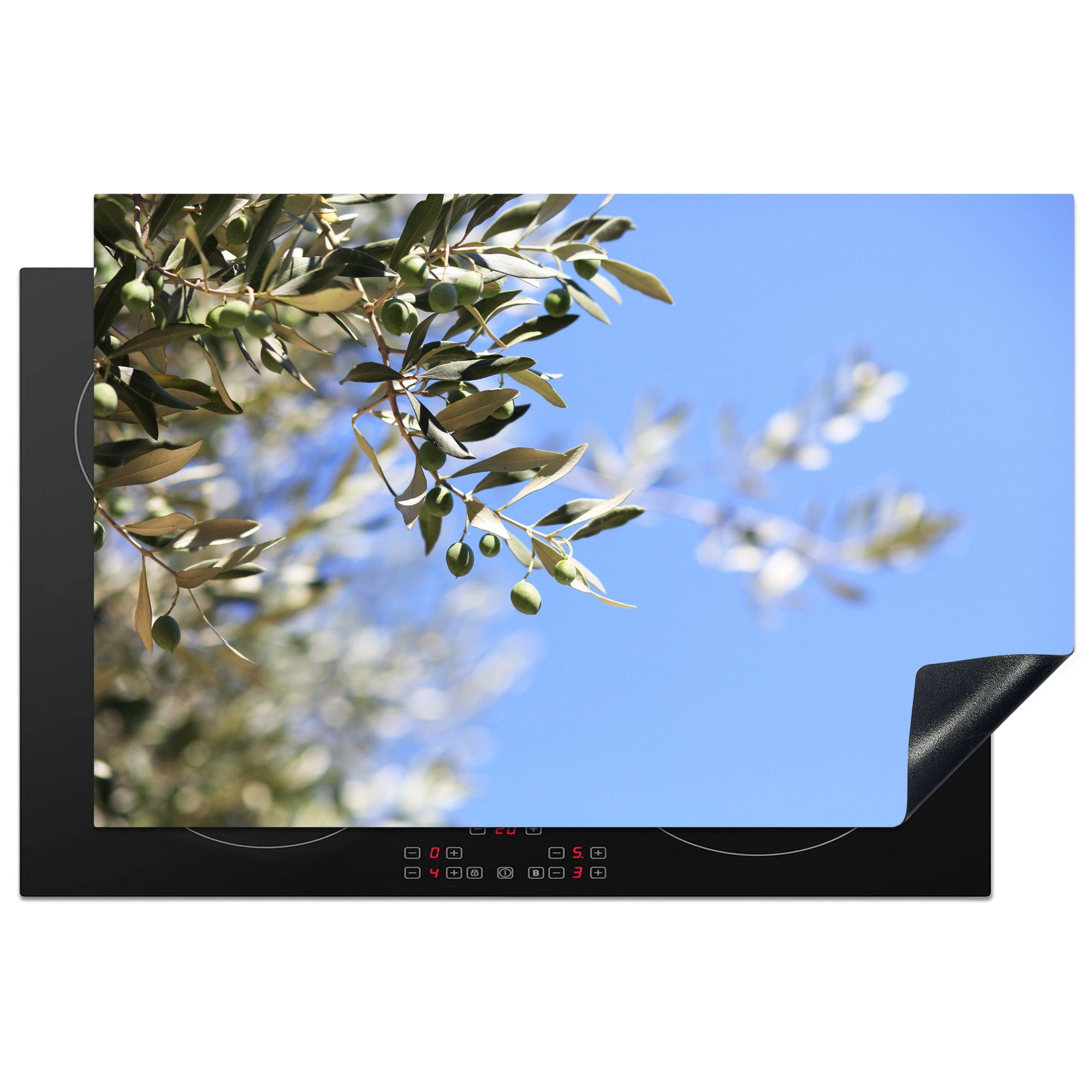 MuchoWow Herdblende-/Abdeckplatte Zweige des Olivenbaums in Frankreich, Vinyl, (1 tlg), 81x52 cm, Induktionskochfeld Schutz für die küche, Ceranfeldabdeckung