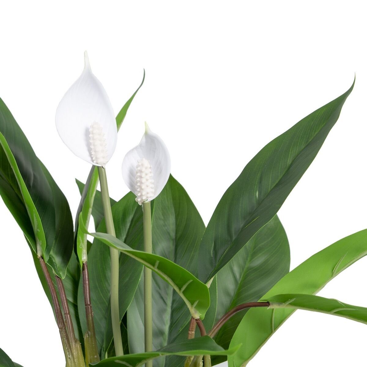55 cm Dekorationspflanze PVC Bigbuy, x Höhe Pflanze, 48 x Zimmerpflanze Künstliche grün 41 Künstliche cm 40