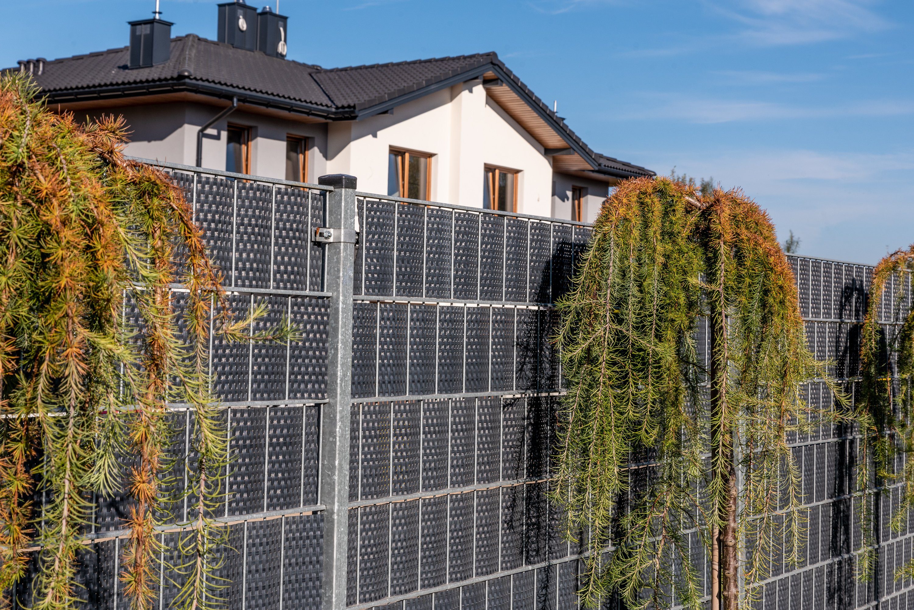 Gartenwelt Riegelsberger Sichtschutzstreifen PREMIUM Rattan Sichtschutzstre günstig online kaufen