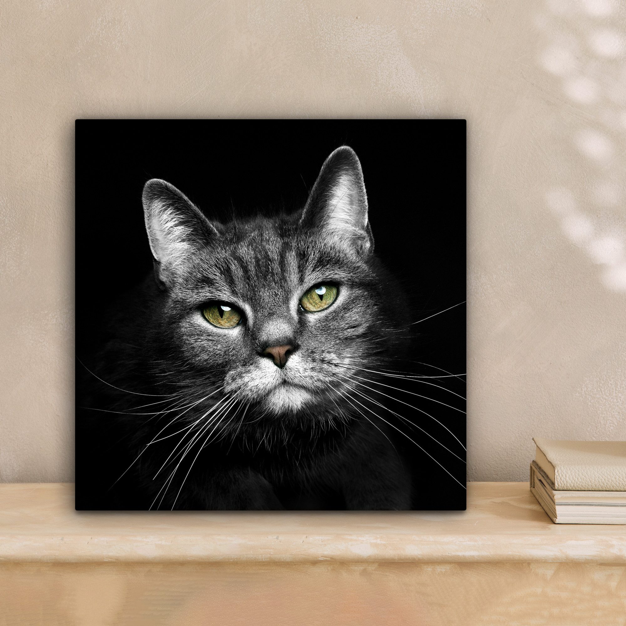 OneMillionCanvasses® Leinwandbild Haustiere - Katze - günstig online kaufen