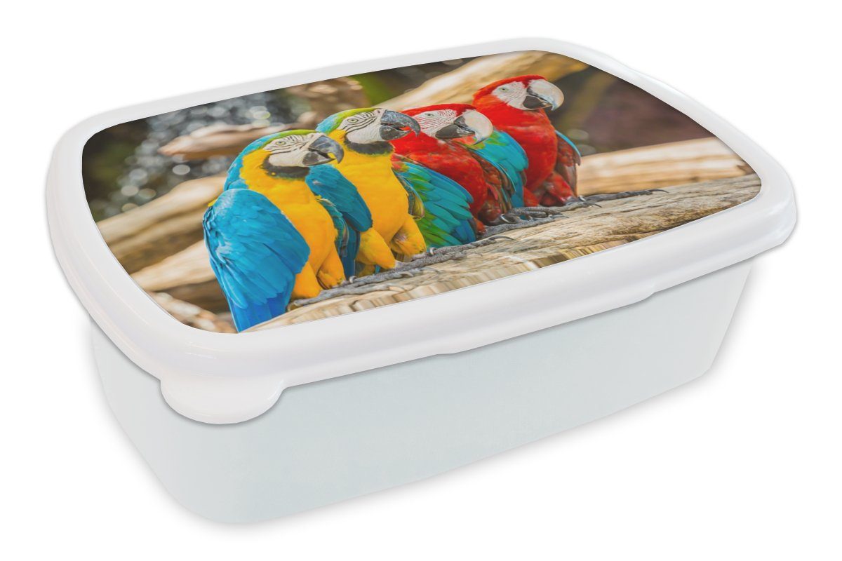 MuchoWow Lunchbox Vögel - Papagei - Tropisch - Natur, Kunststoff, (2-tlg), Brotbox für Kinder und Erwachsene, Brotdose, für Jungs und Mädchen weiß