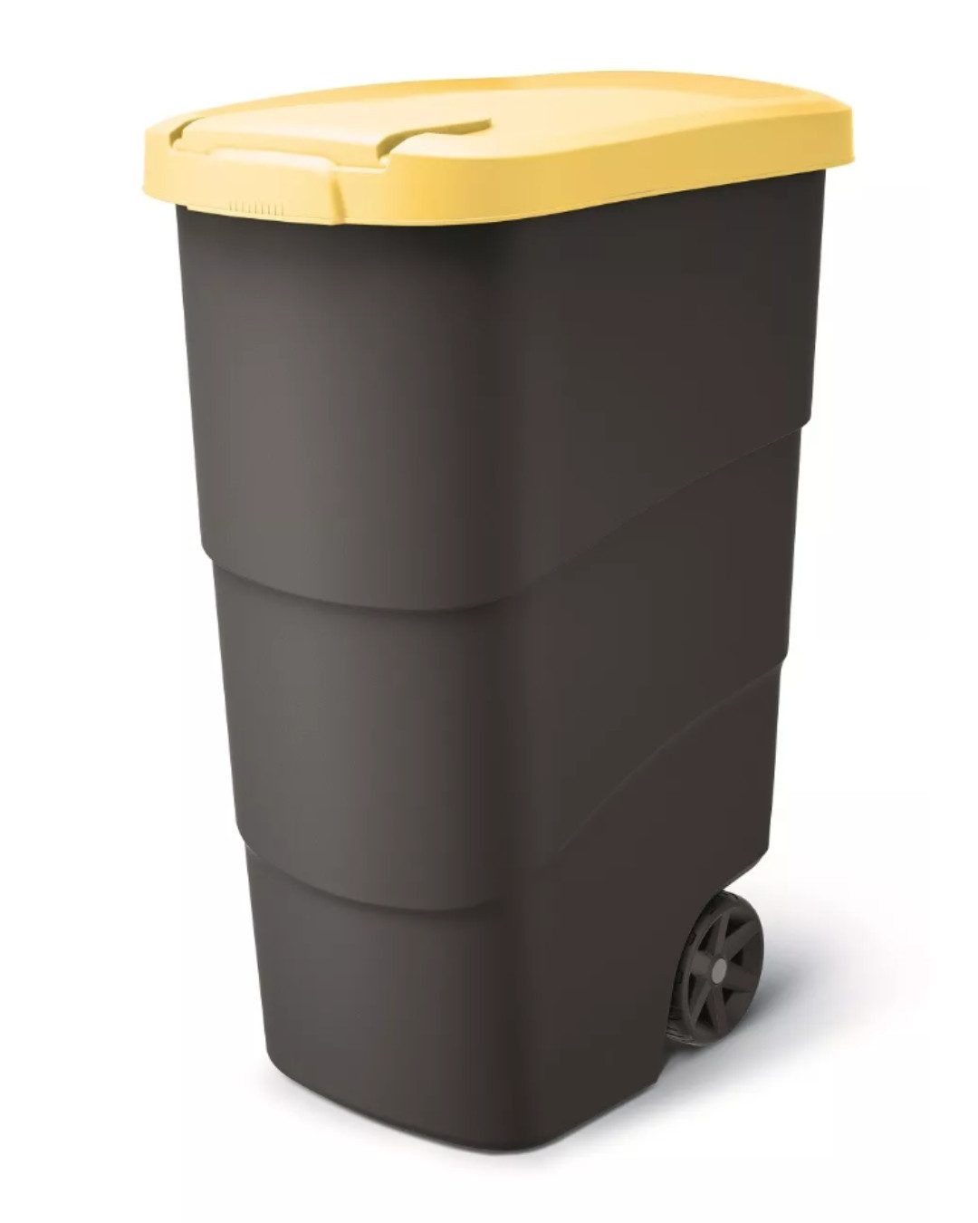 Prosperplast Mülltonnenbox Mülleimer Mülltonne Abfallbehälter Abfallcontain günstig online kaufen